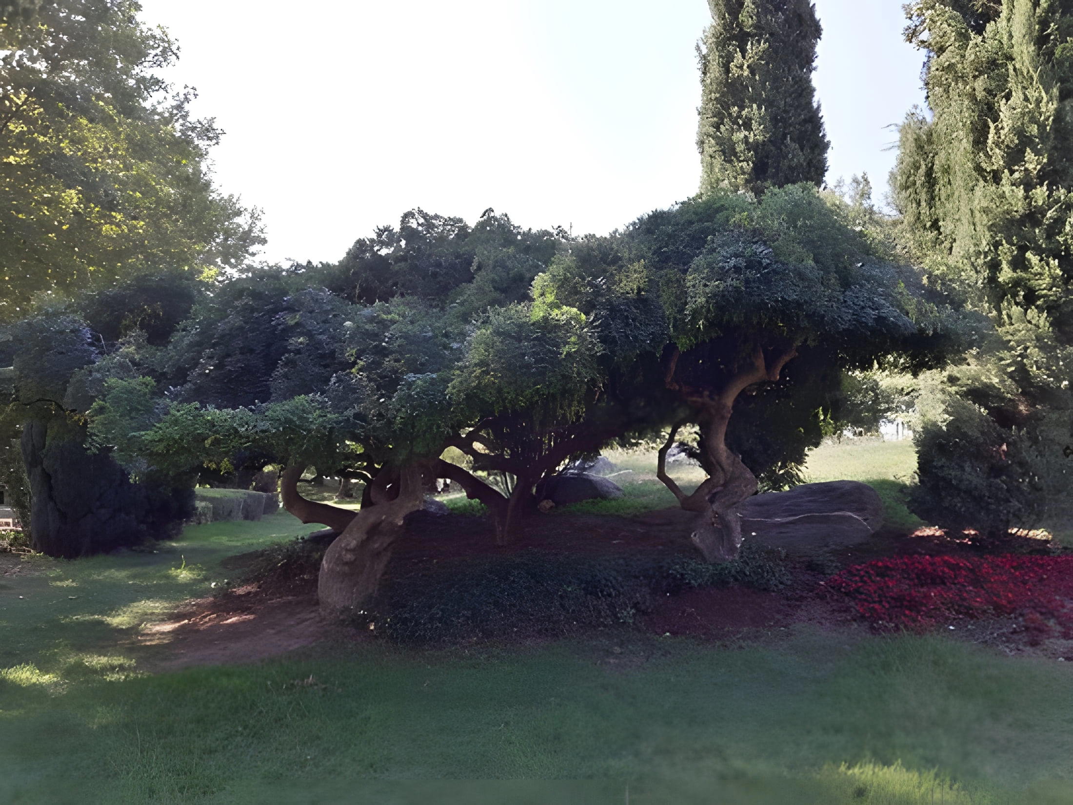 Bursa Kultúrny Park