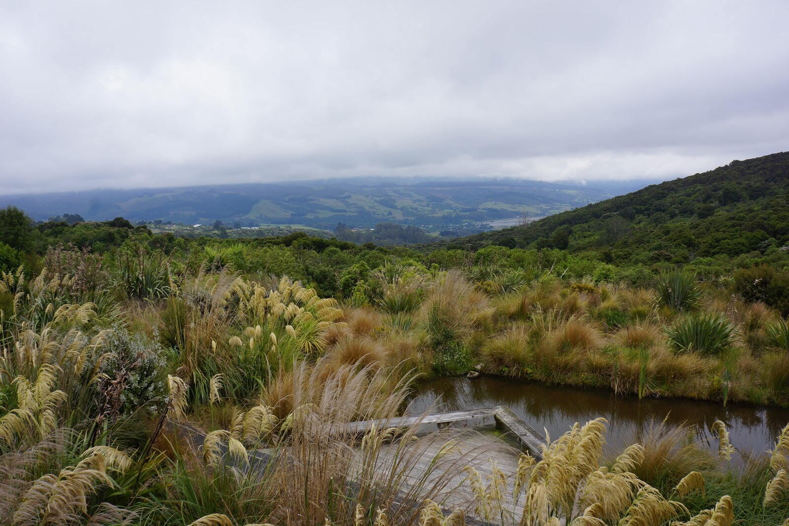 Orokonui Ecosanctuary