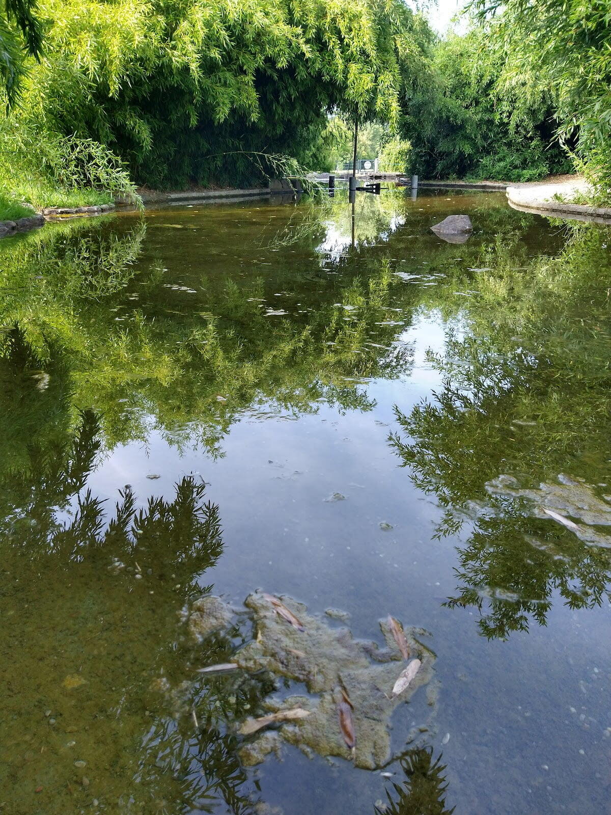 landesgartenschau memmingen