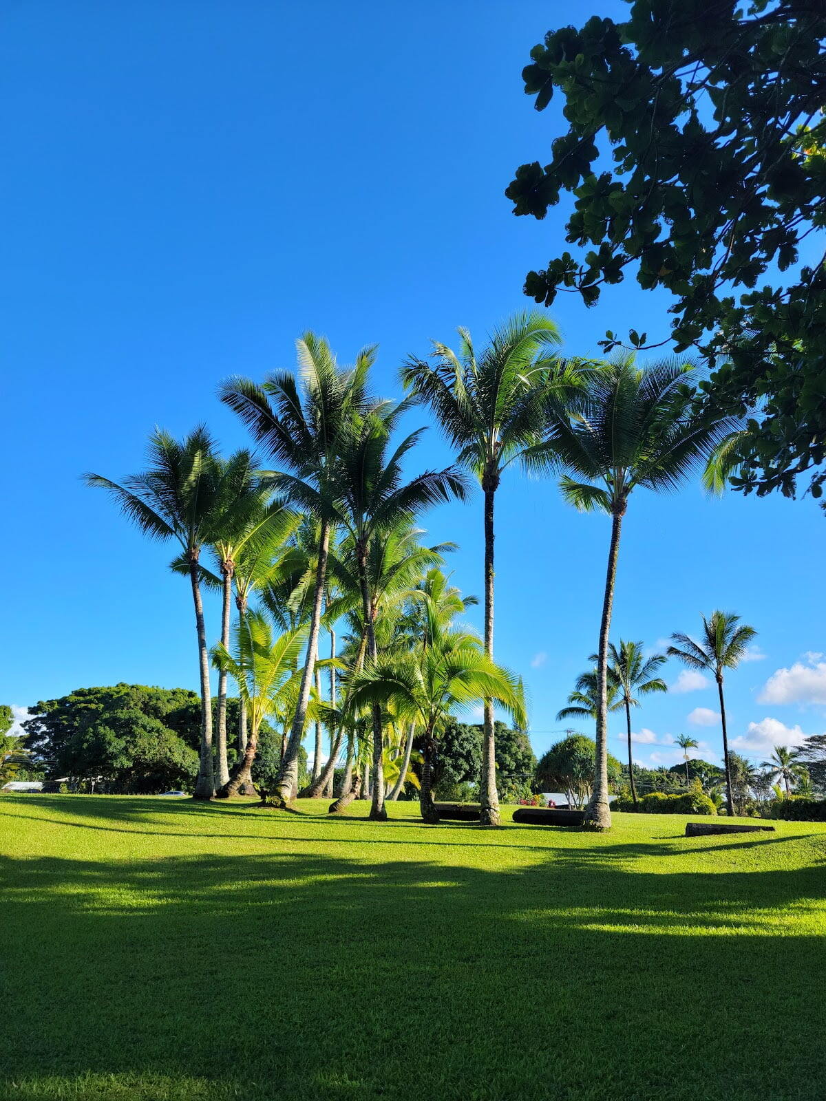 Keaukaha Beach Park