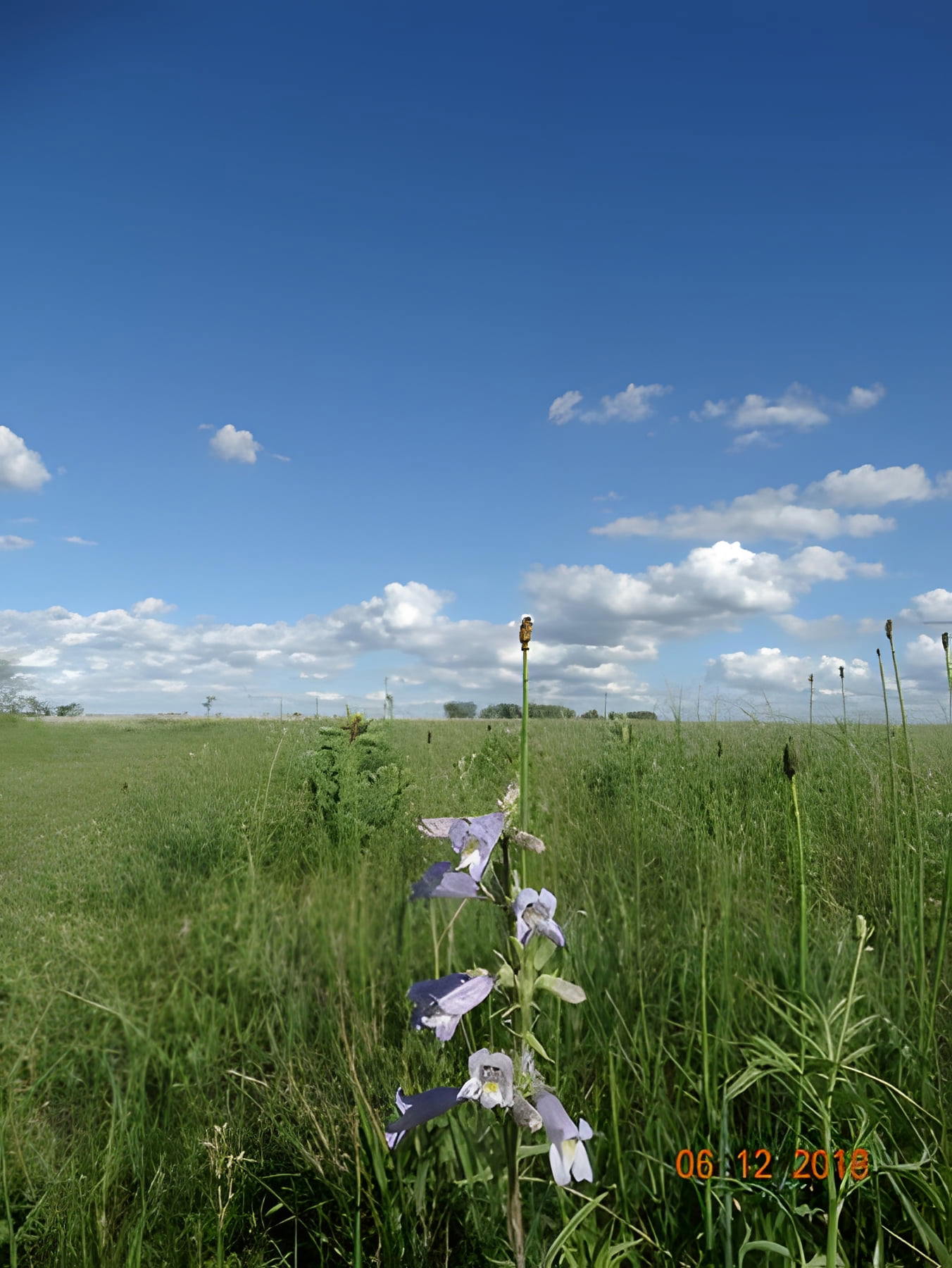 Bluestem Prairie Preserve