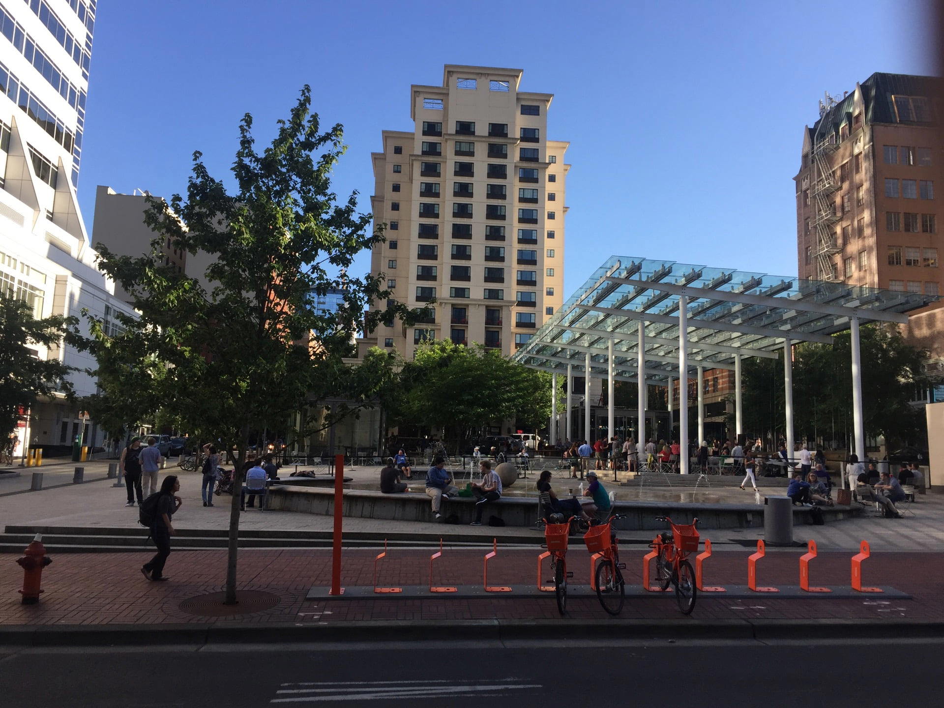 Director Park