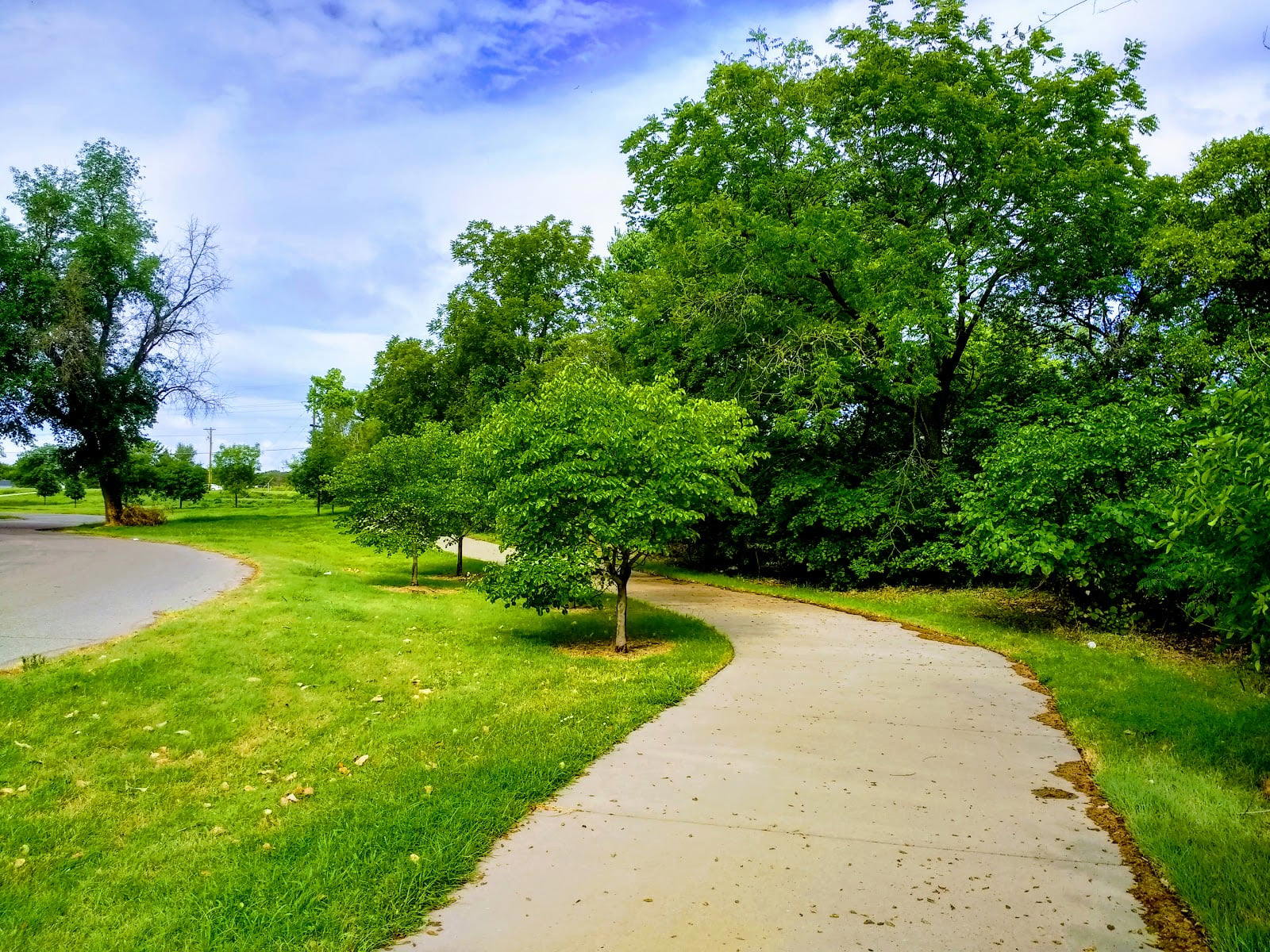 Chapin Dog Park