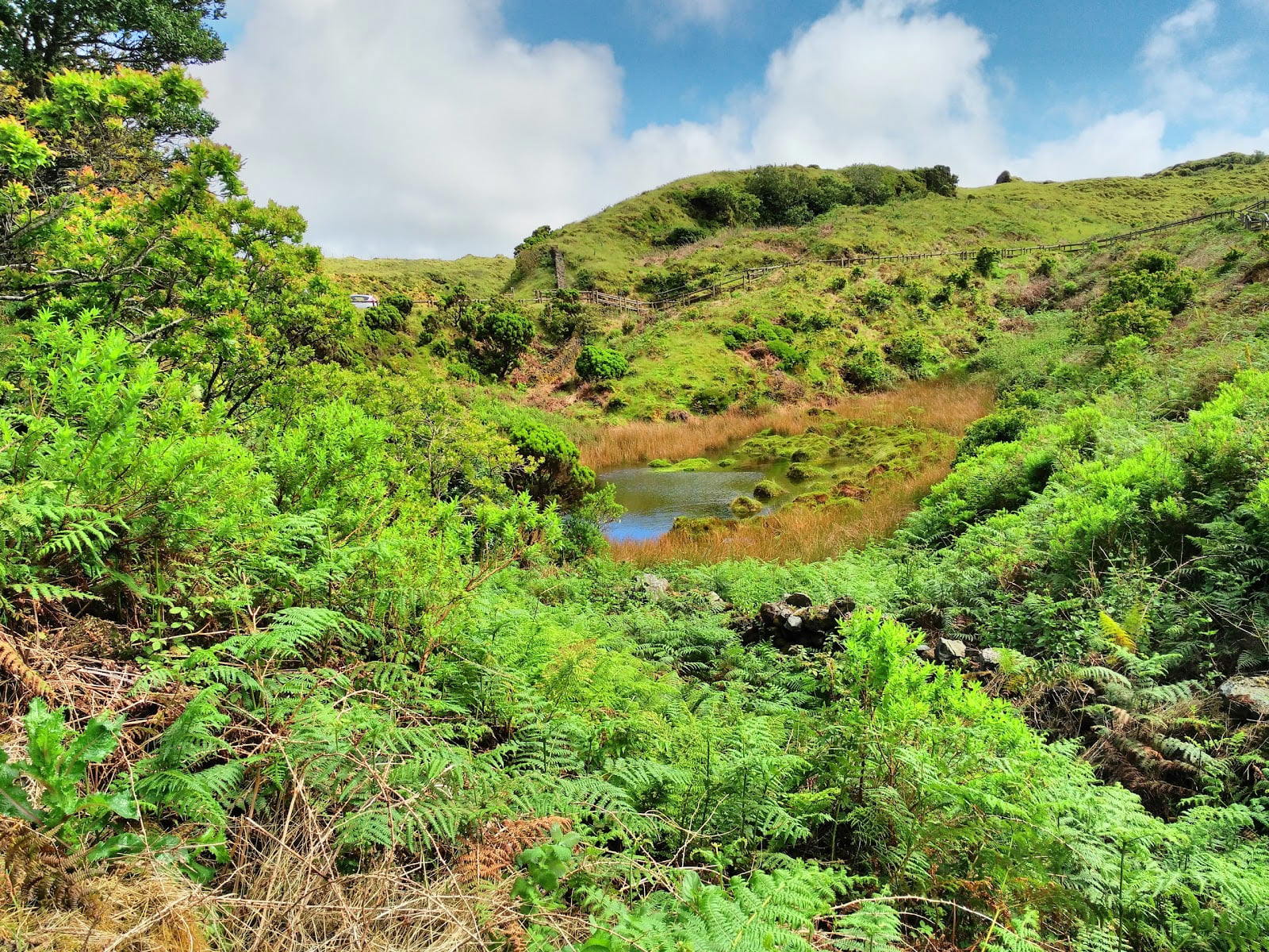 Furnas do Enxofre