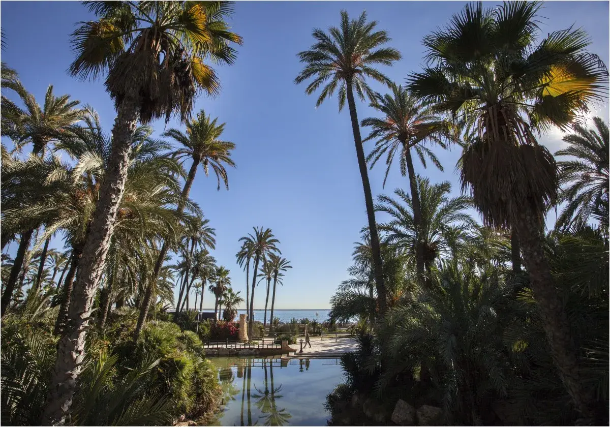 Parc El Palmeral