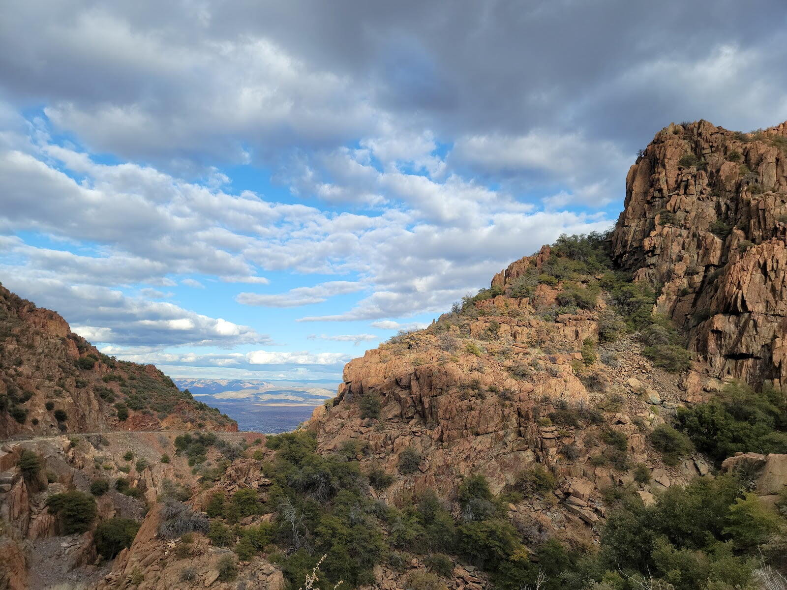 Prescott National Forest