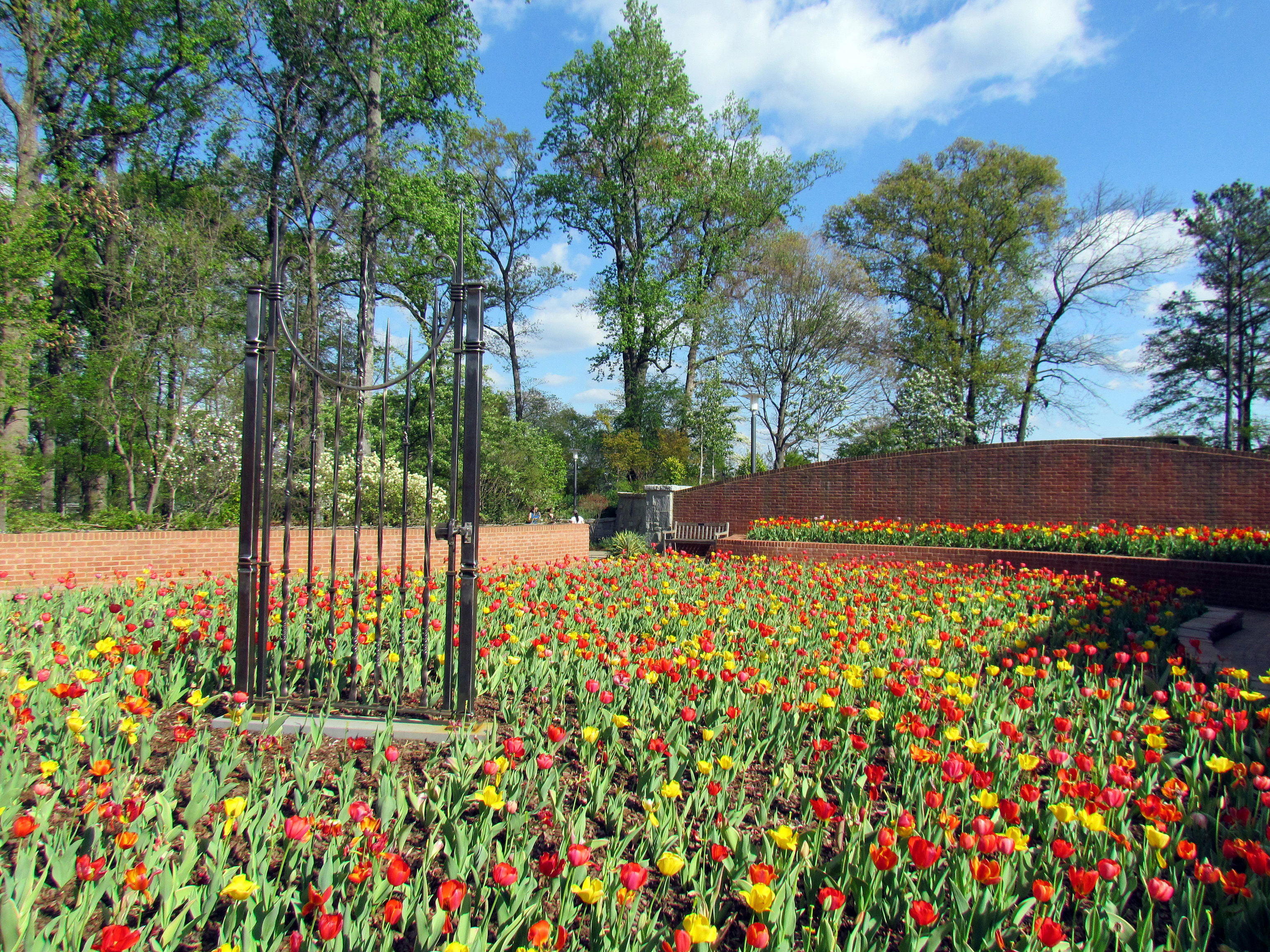 Botanická záhrada Atlanta