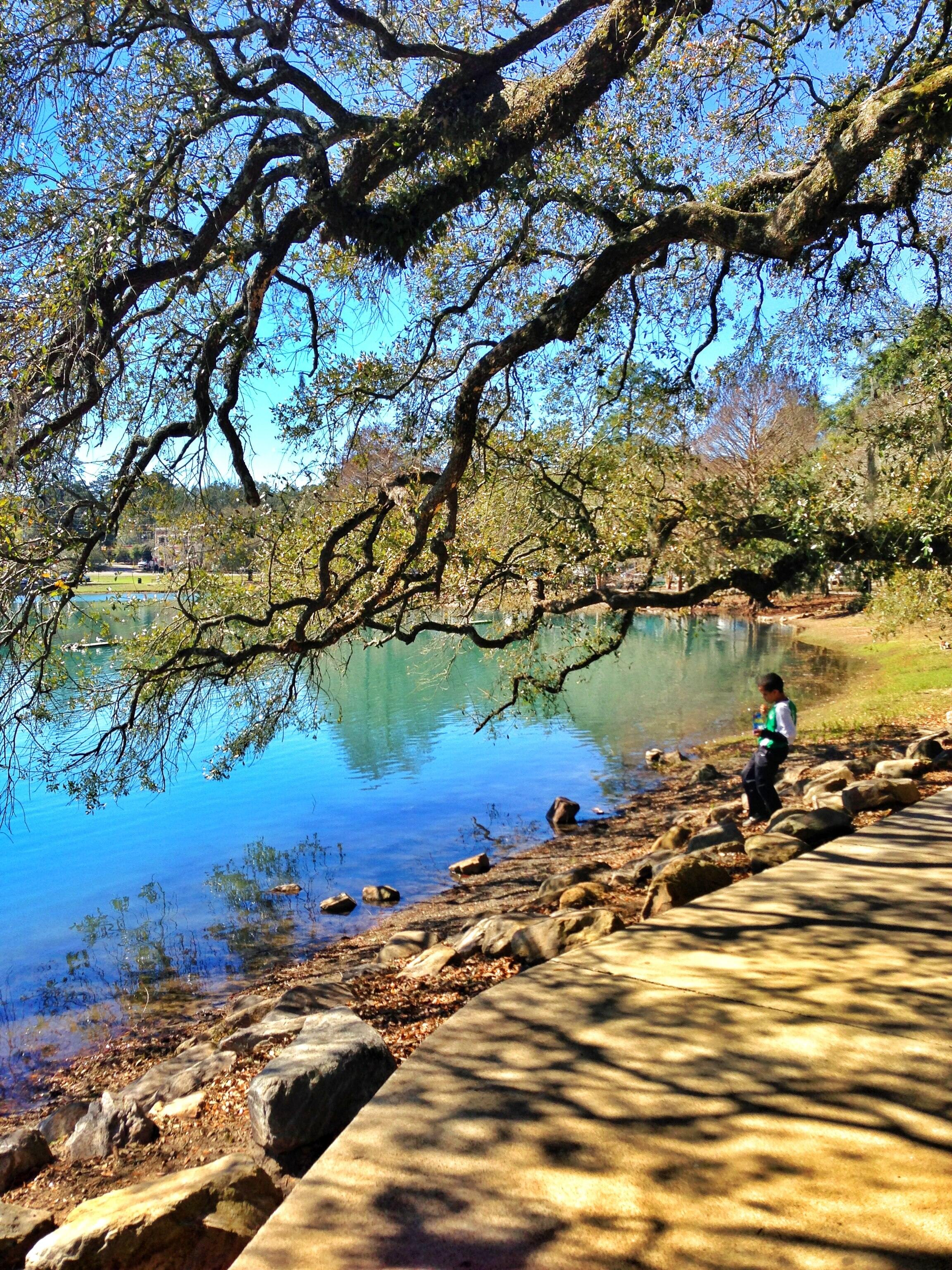 Photo of Lake Ella in Tallahassee, FL