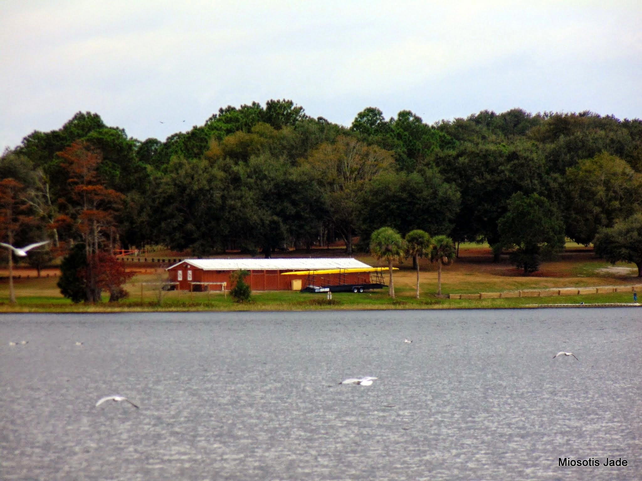 Turkey Lake Park