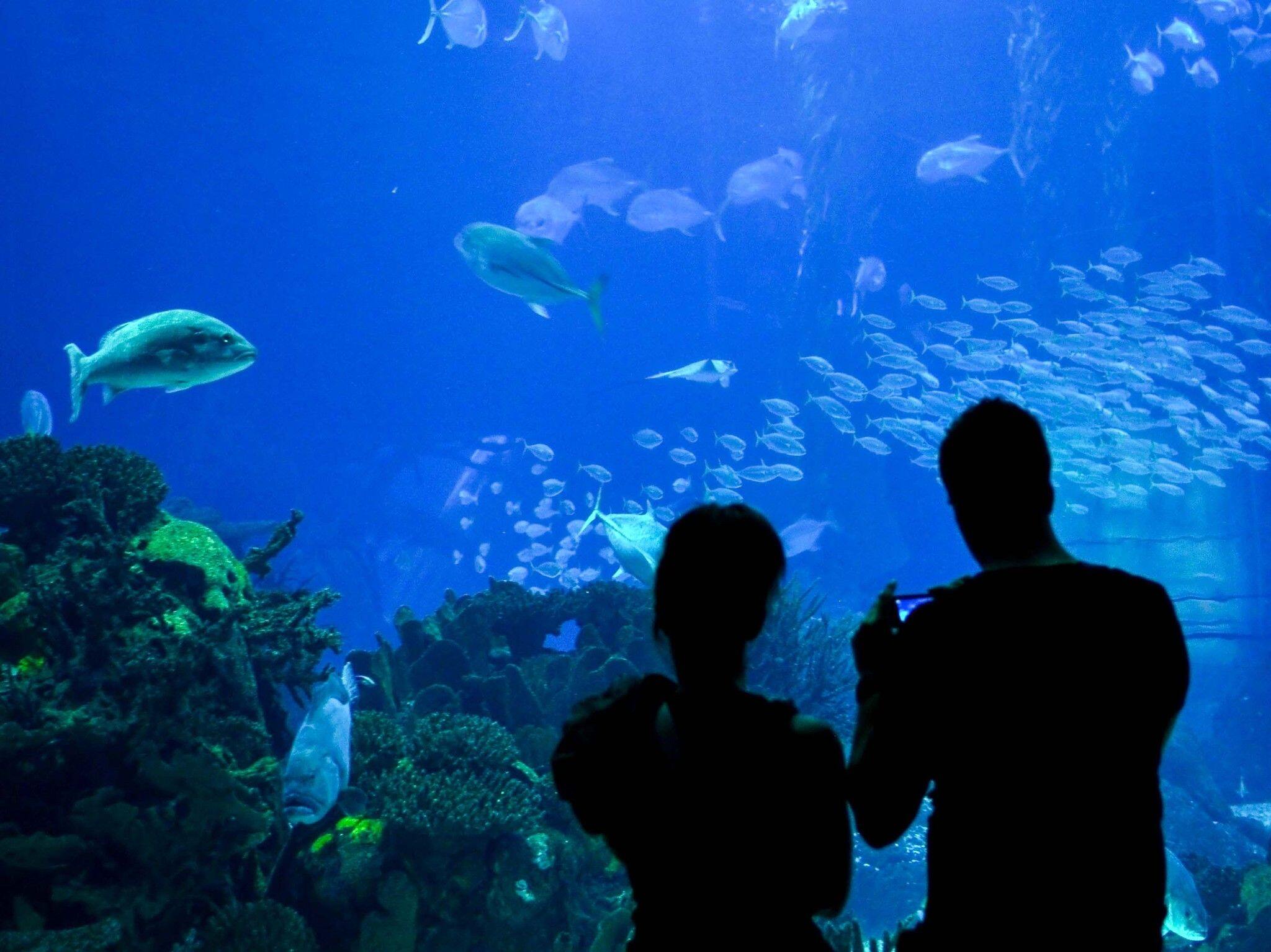 Oceanárium Lisabon