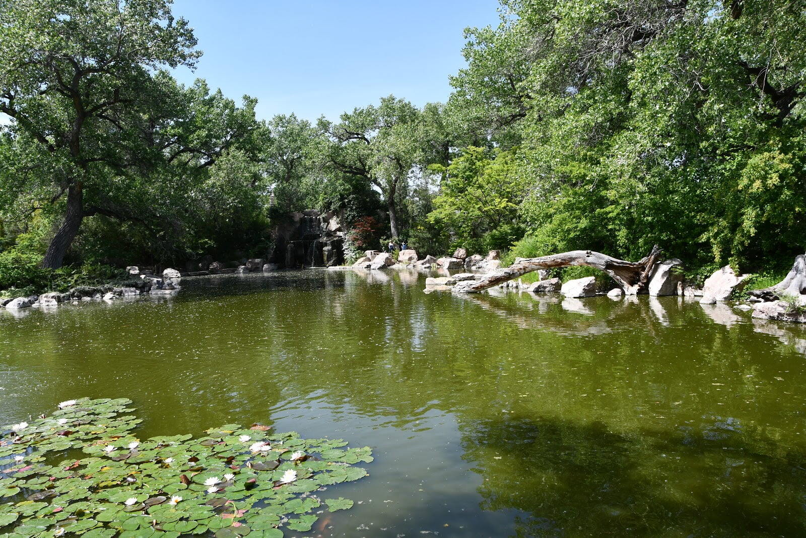 ABQ BioPark - Botanic Garden