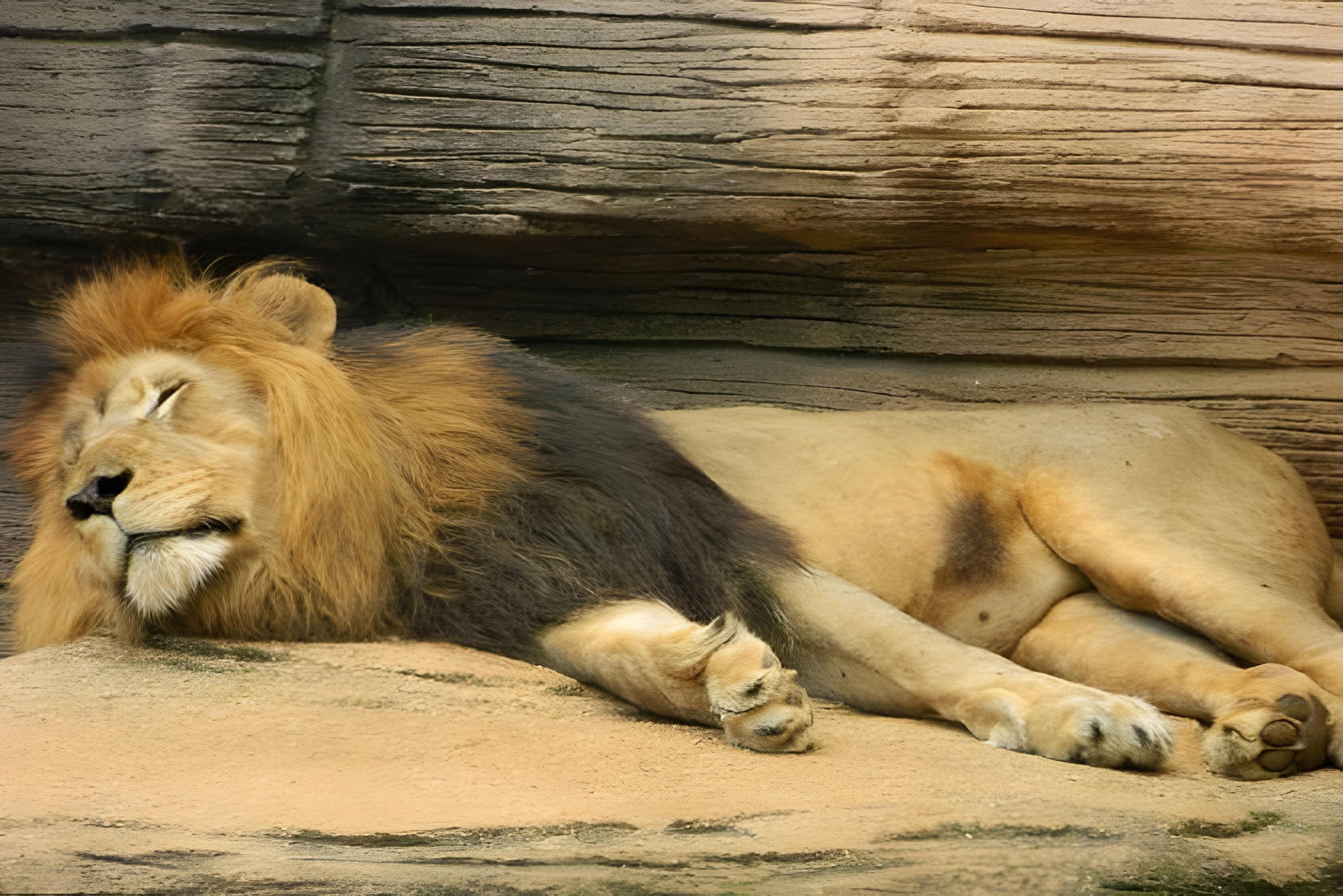 Riverbanks Zoo & Garden