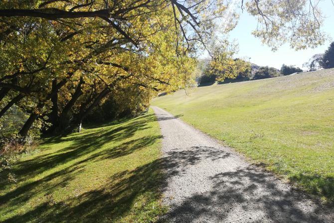 Queenstown Trail