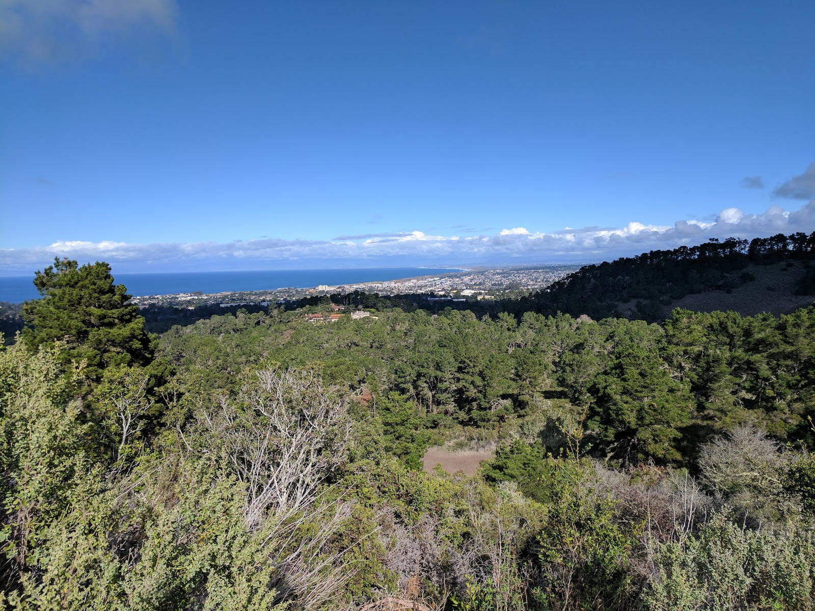 Jacks Peak County Park