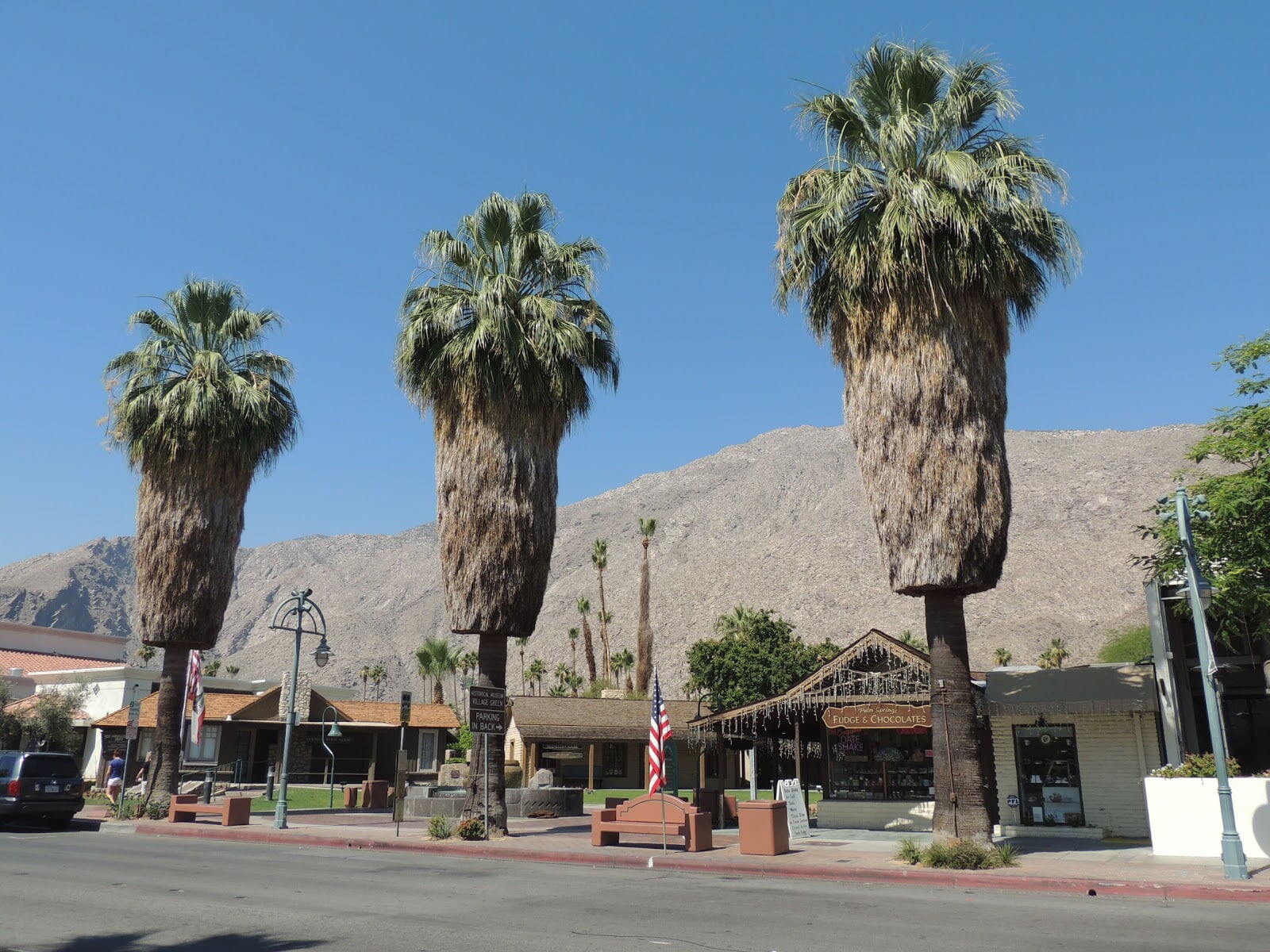 Palm Springs Historical Society