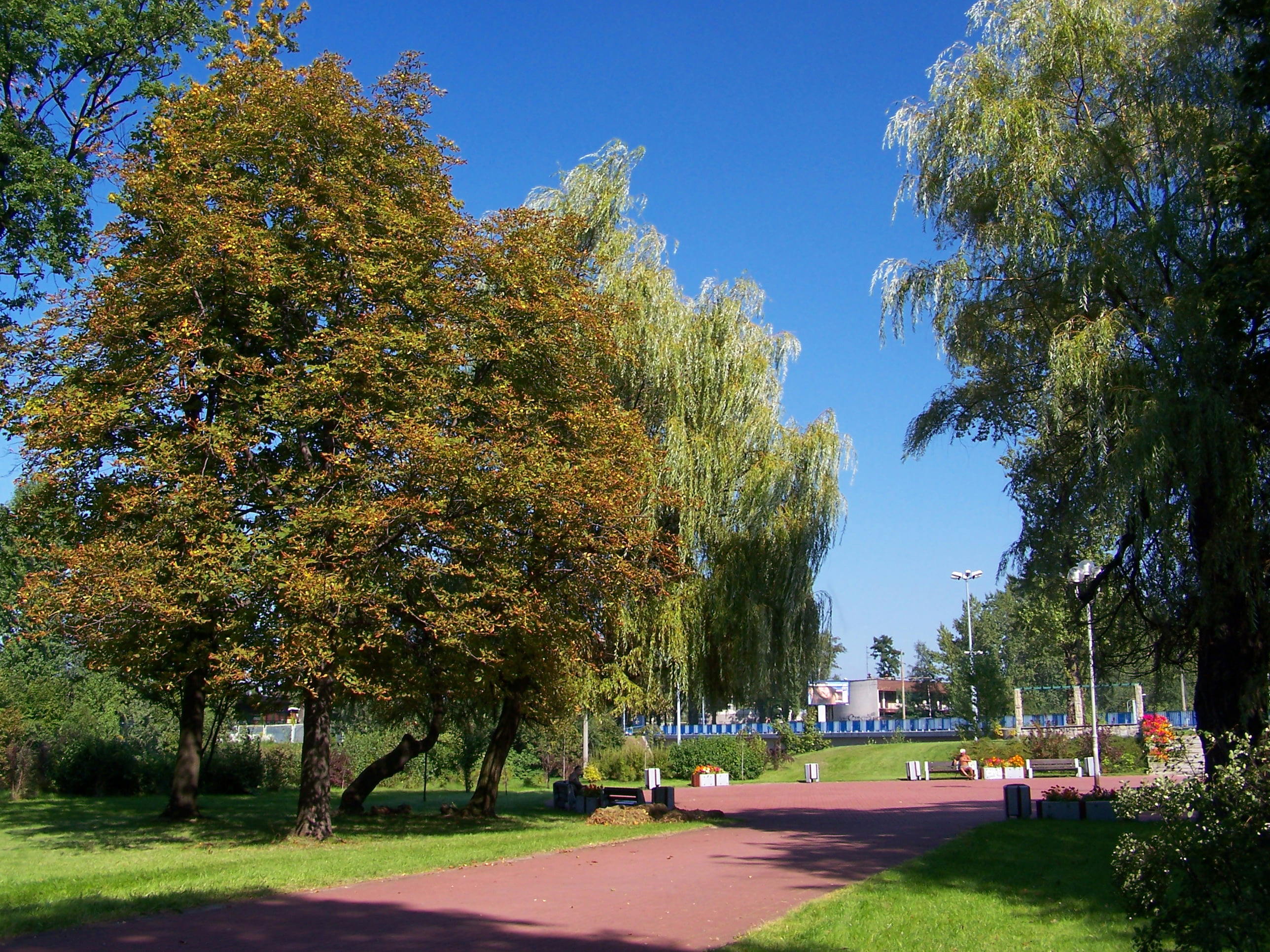 Park Kościuszka