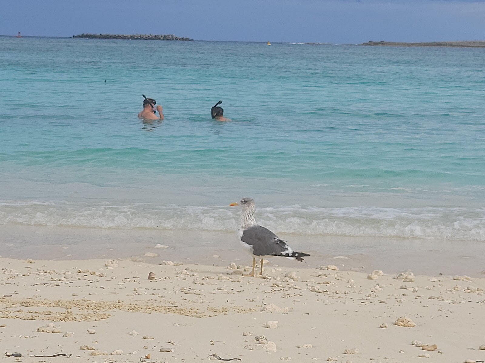 Junkanoo Beach