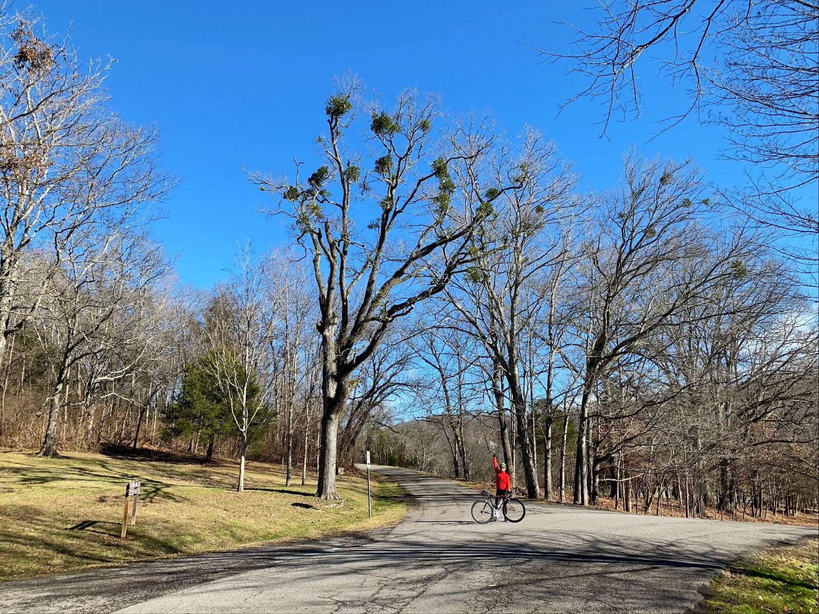 Percy Warner Park