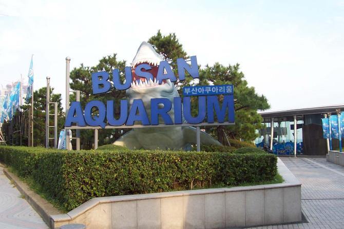 Aquarium Sea Life Busan