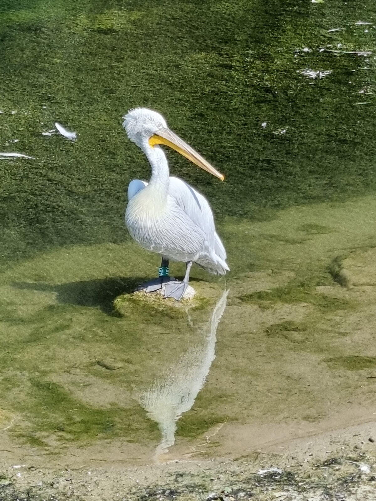 Zoo Bern