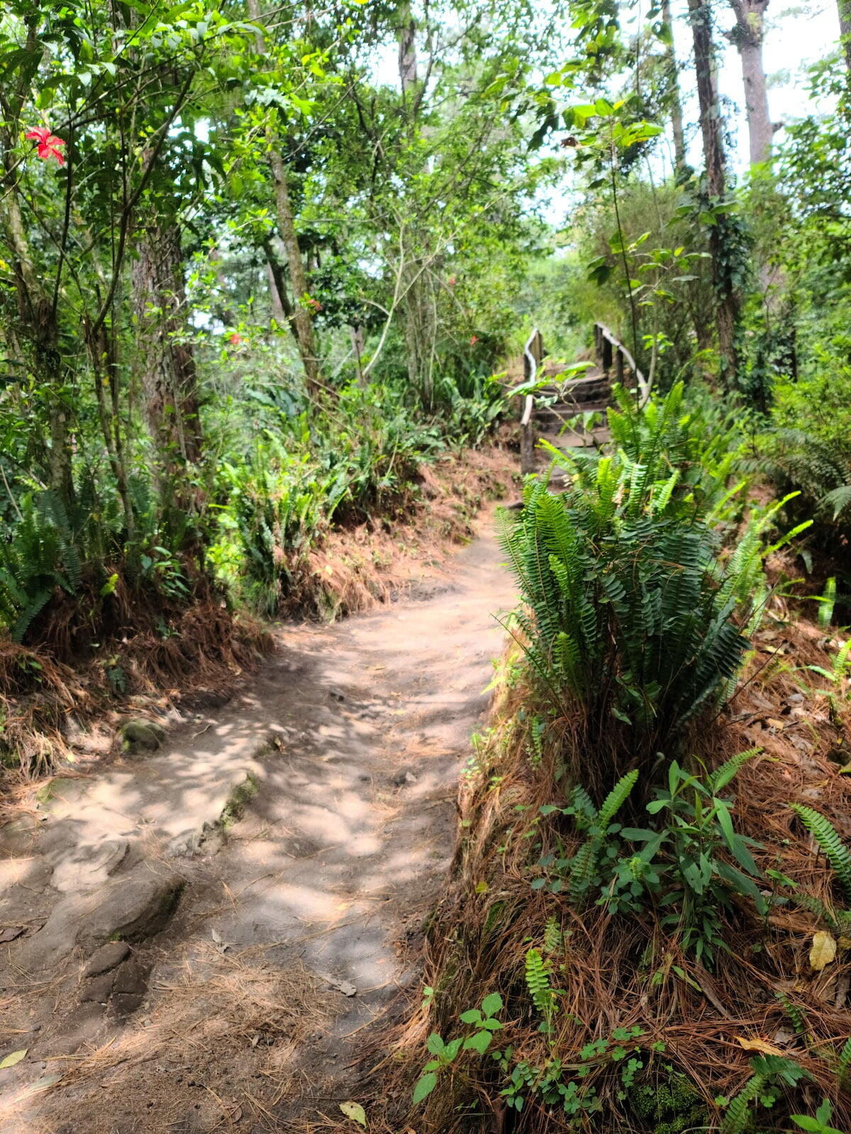 Boqueron National Park