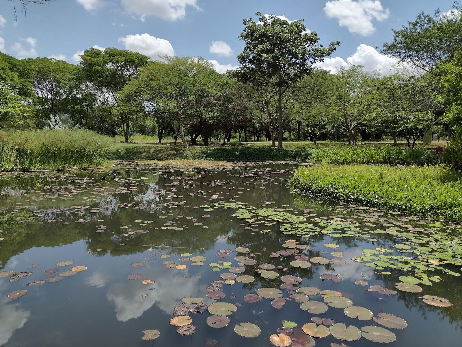 Jardín Botánico de Maracaibo