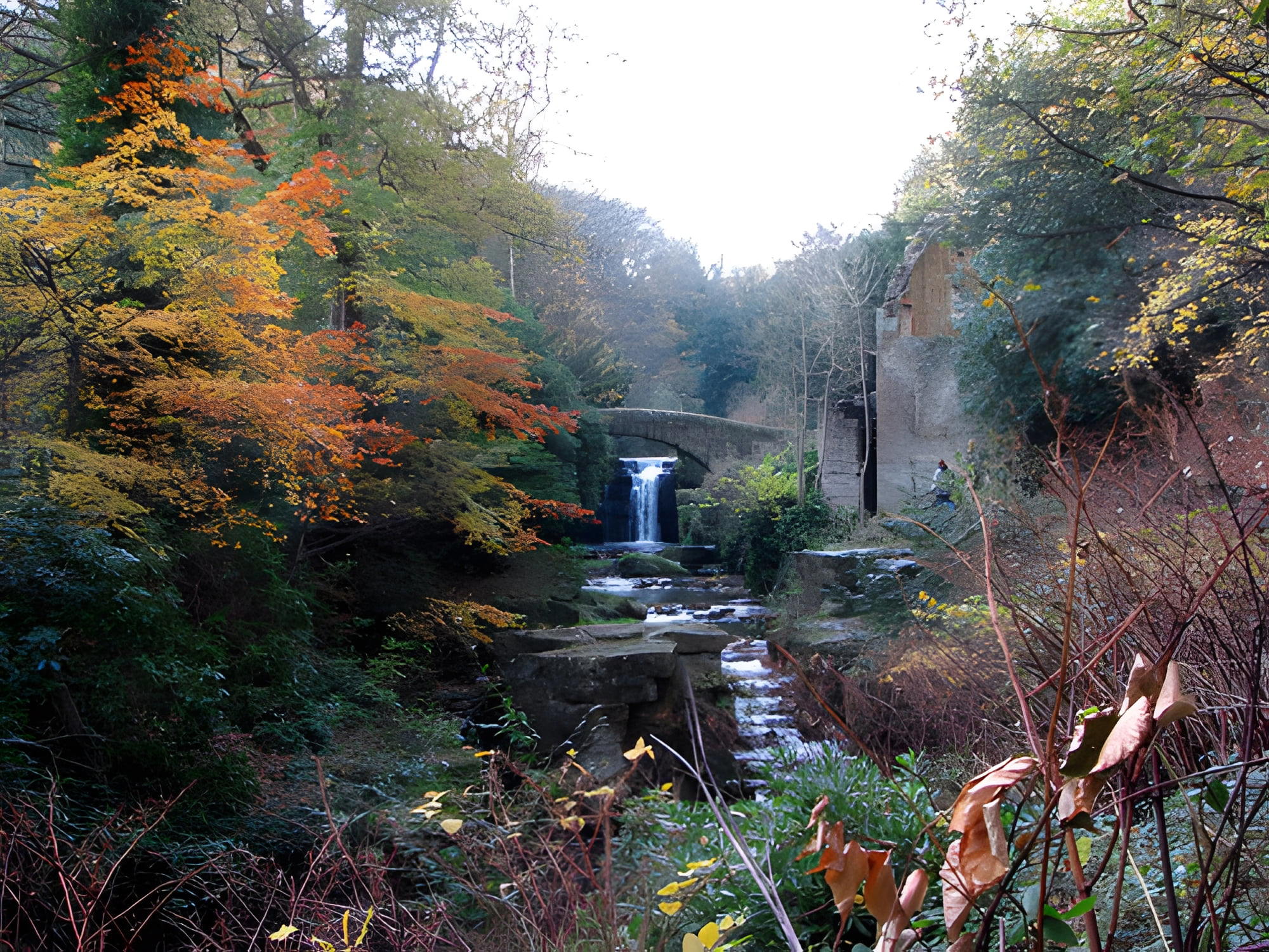 Jesmond Dene