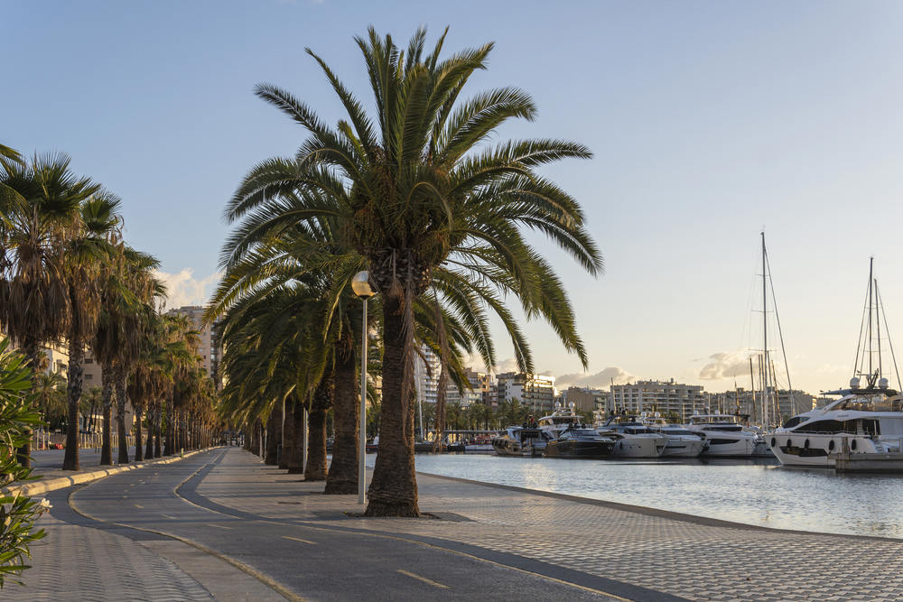 Paseo Maritimo