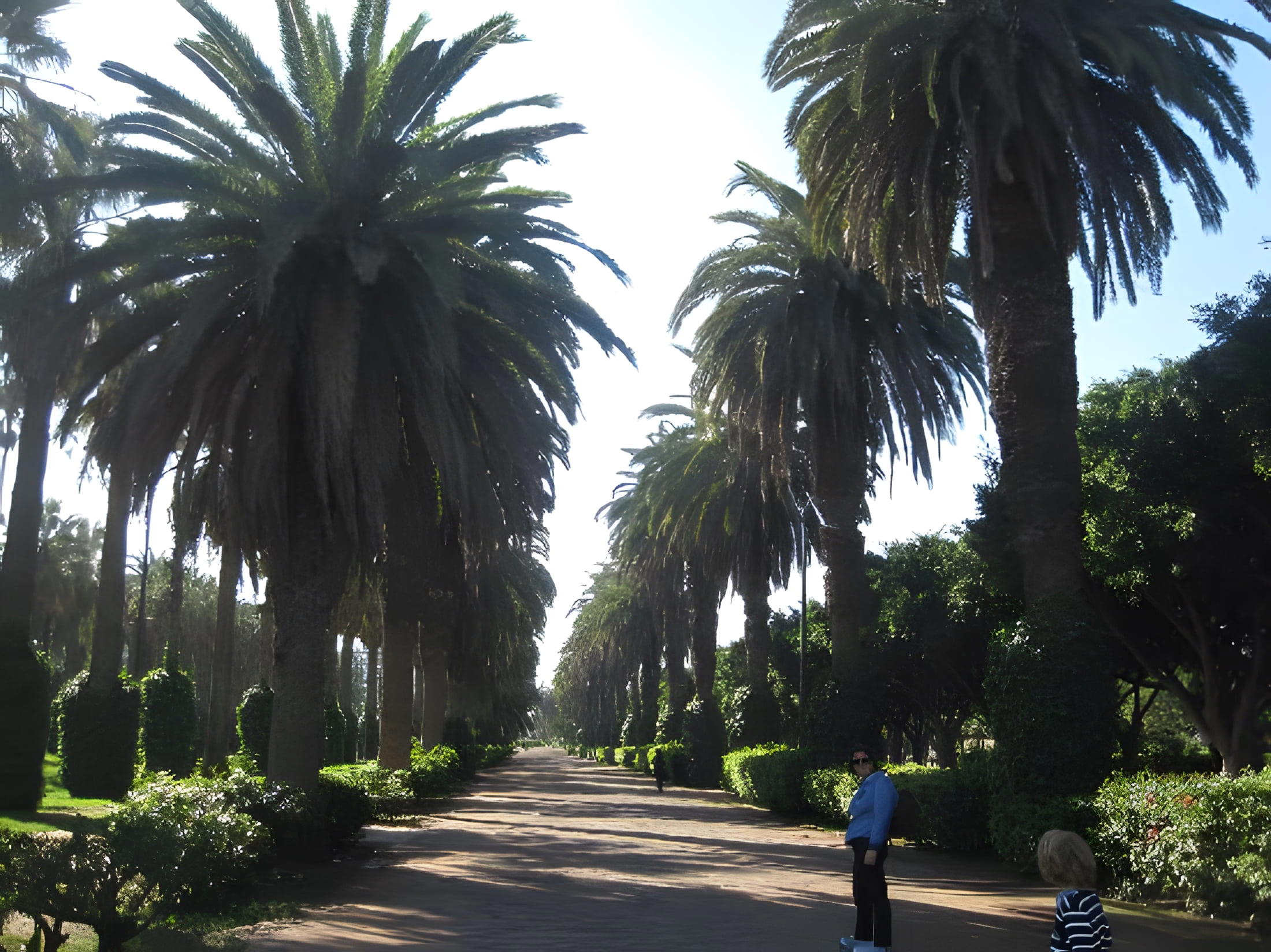 Parc de la Ligue Arabe