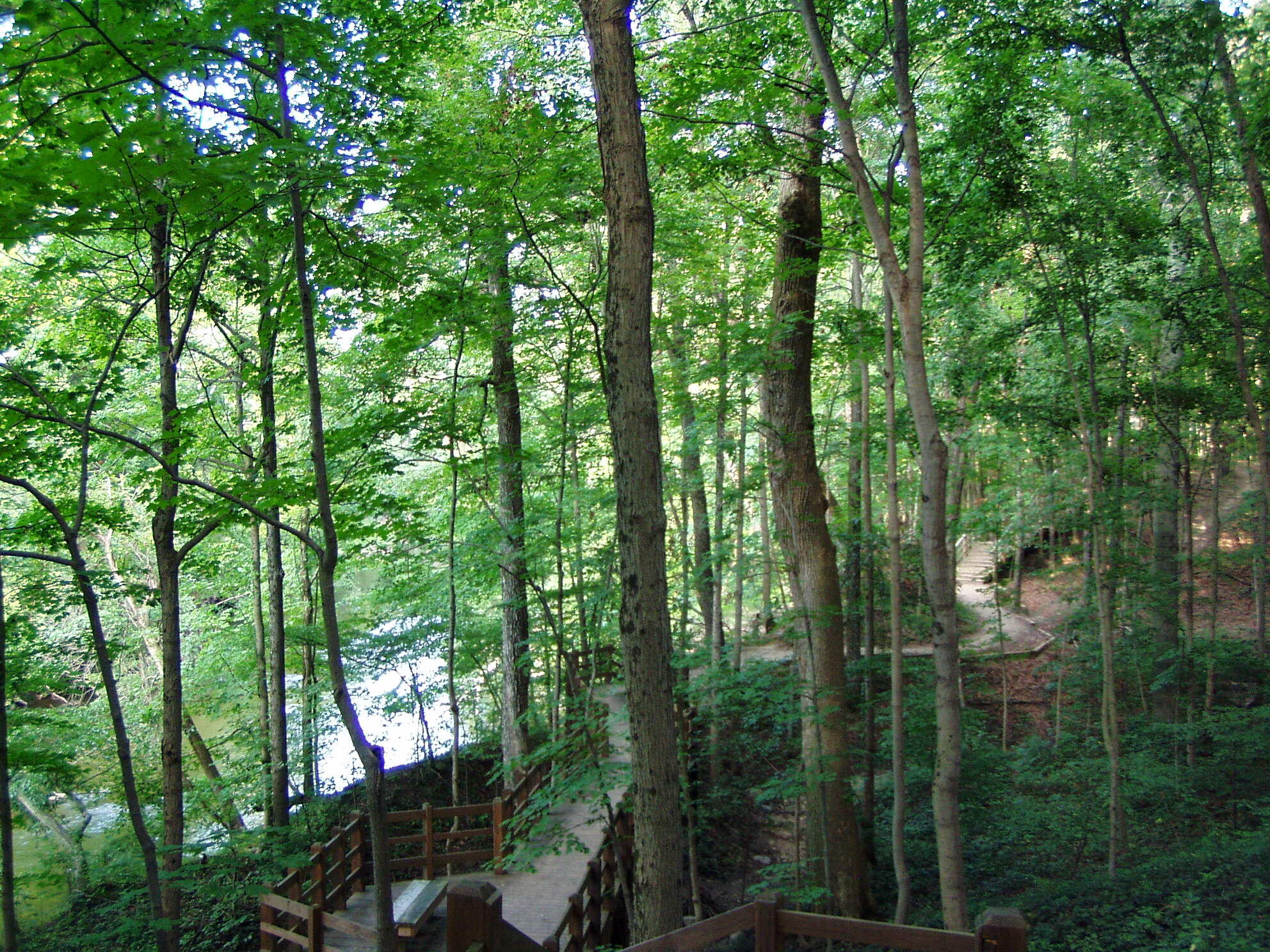 Board walk on pedestrian trails, along Fall Creek in w:Fort Harrison State Park, Indianapolis, Indiana