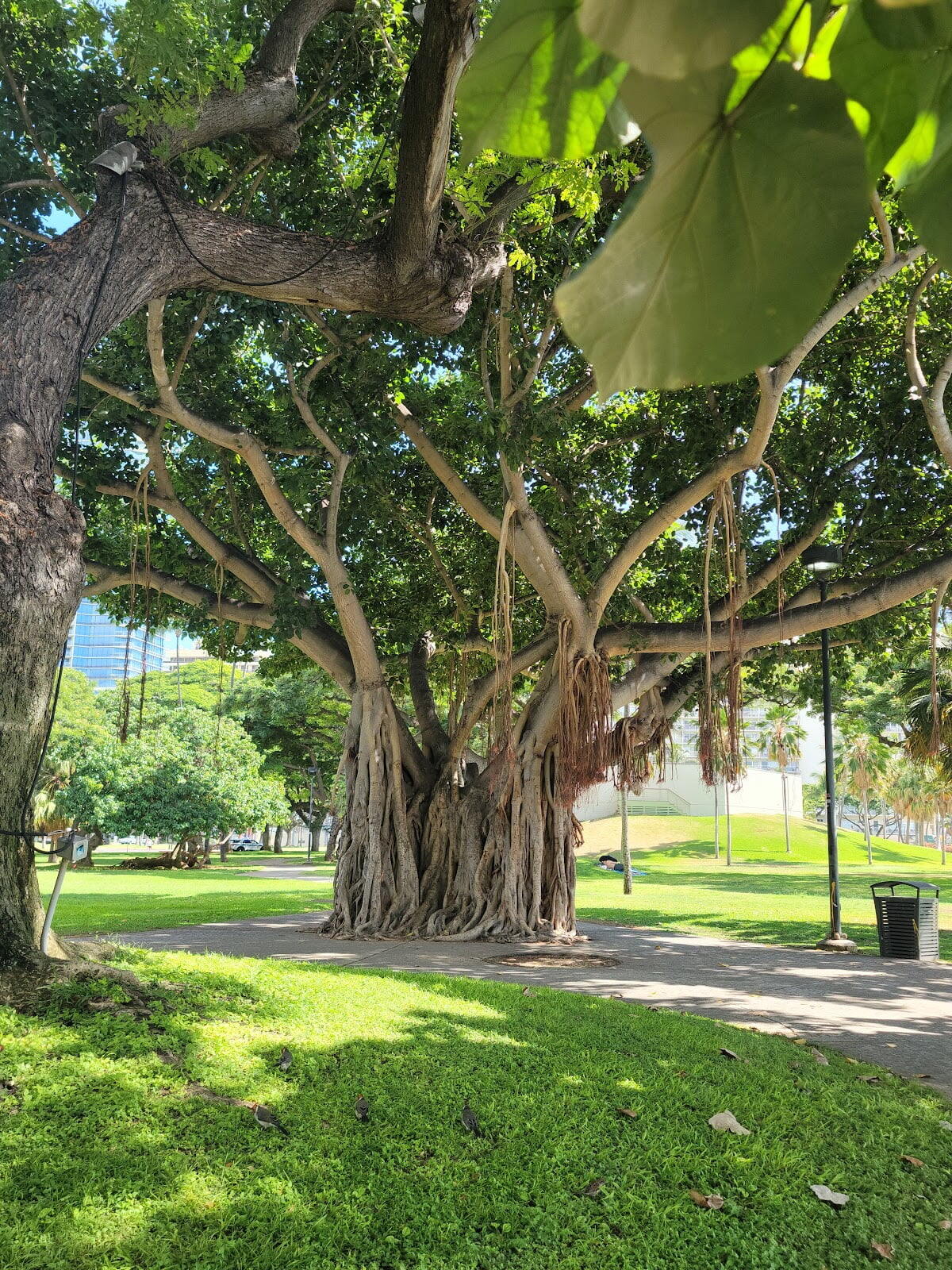 Fort DeRussy Beach Park