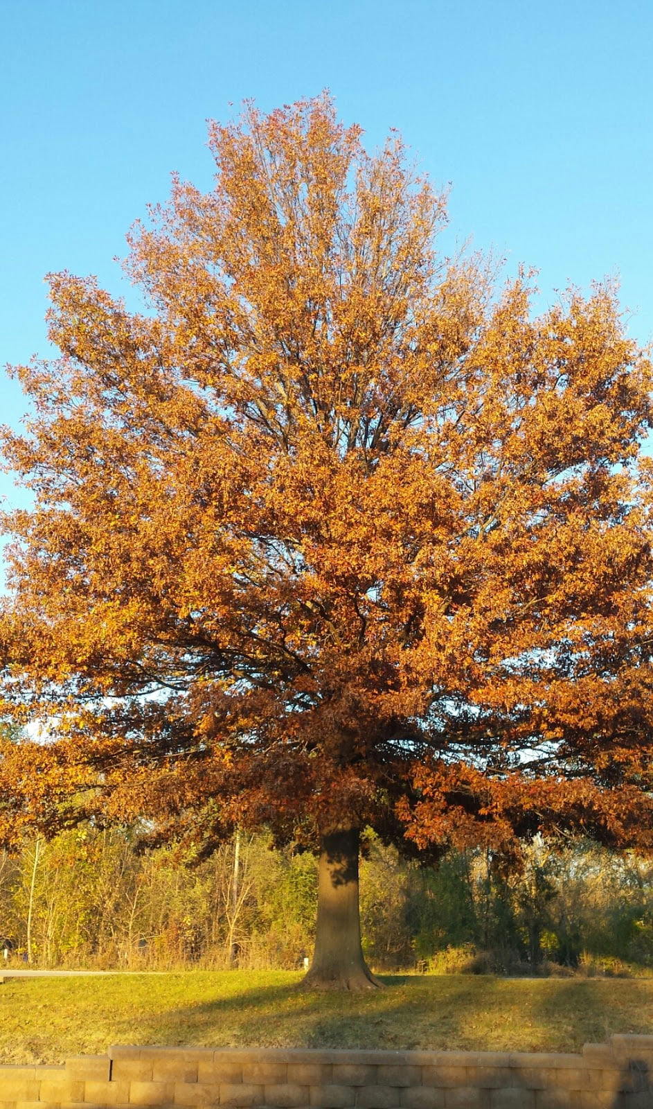 Rybárska oblasť Prairie Park