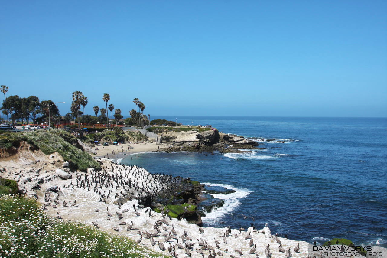 La Jolla Cove