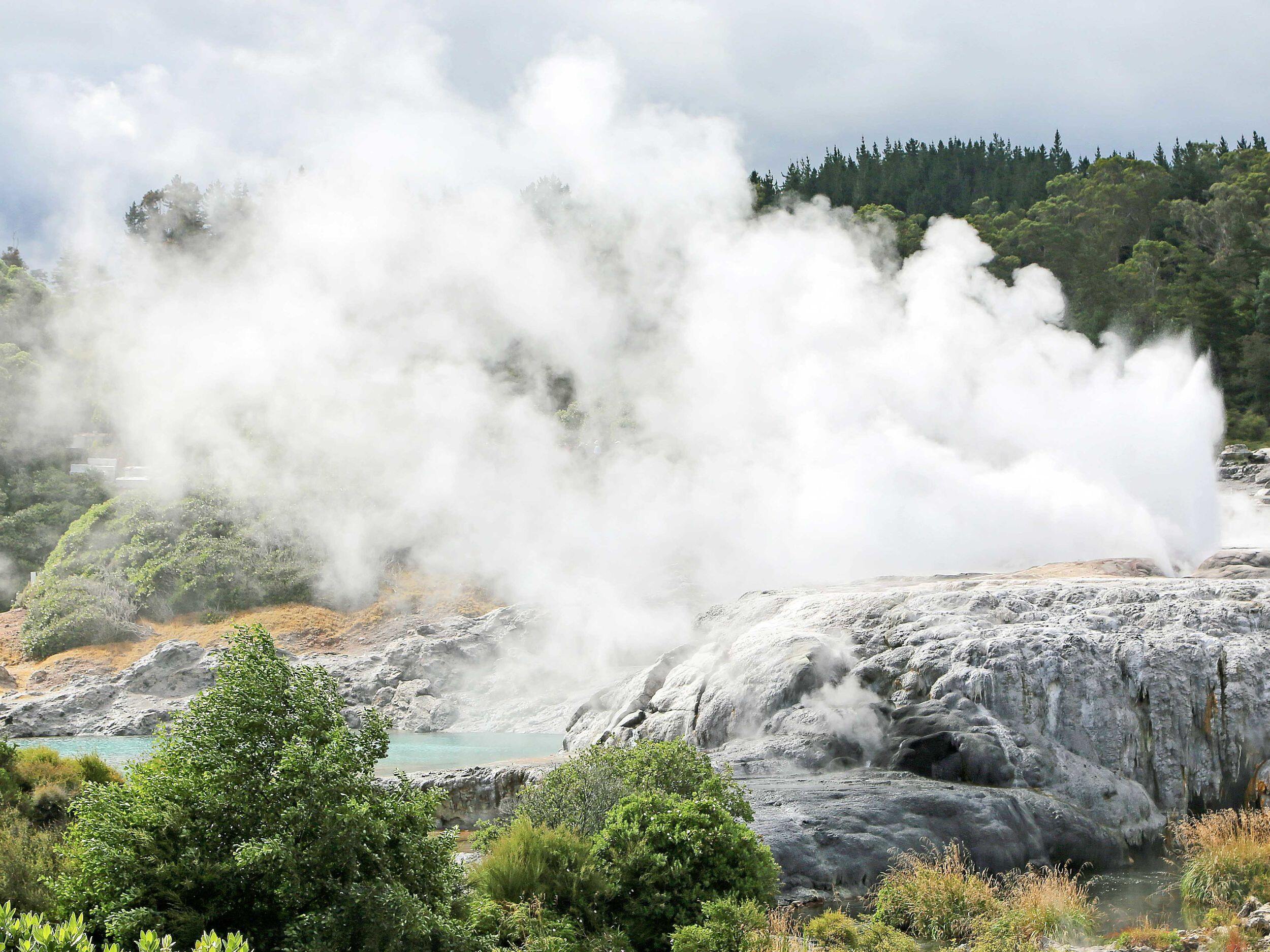 Te Puia - Rotorua, NZ