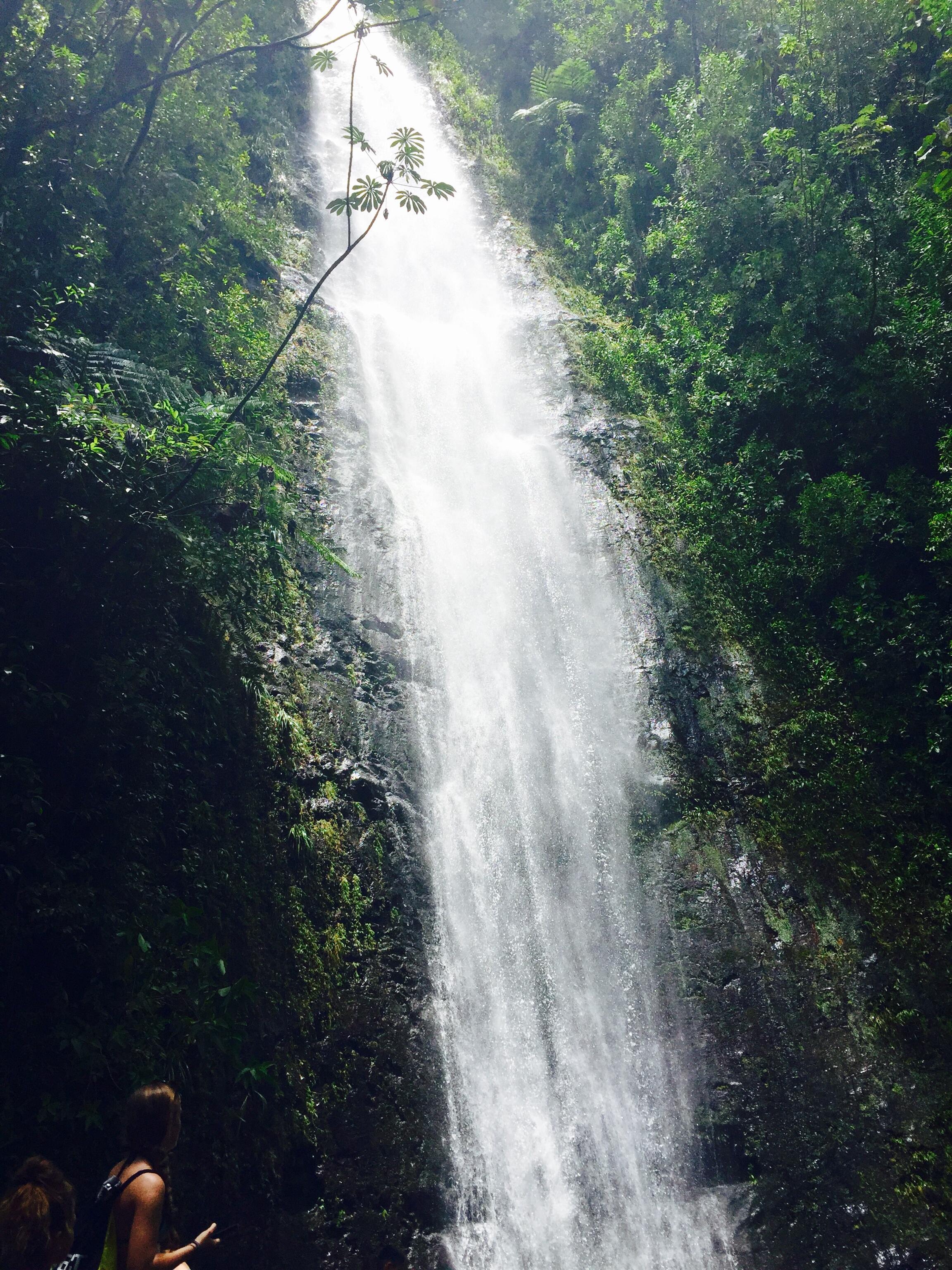 Manoa Falls