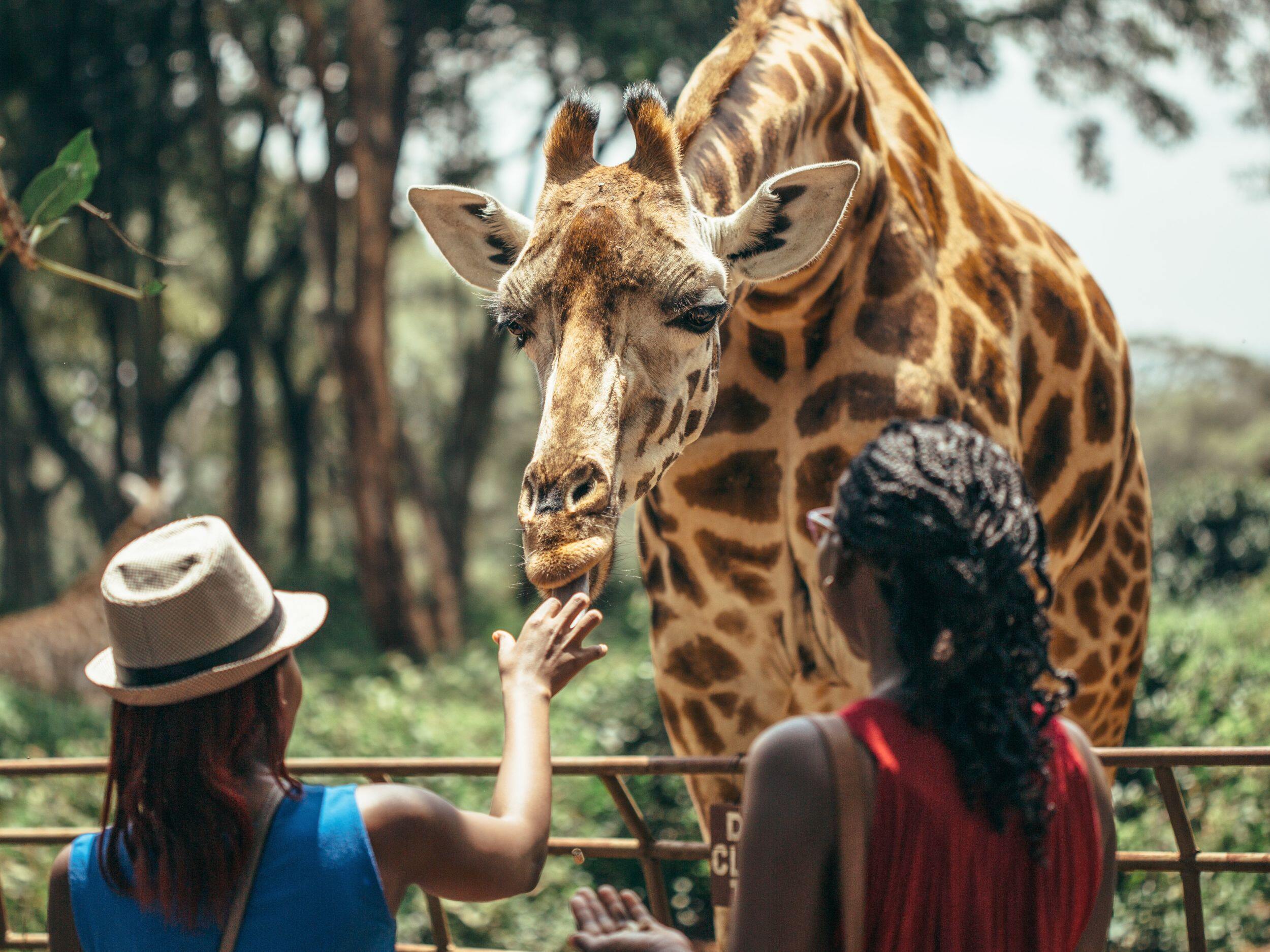 Národný park Nairobi