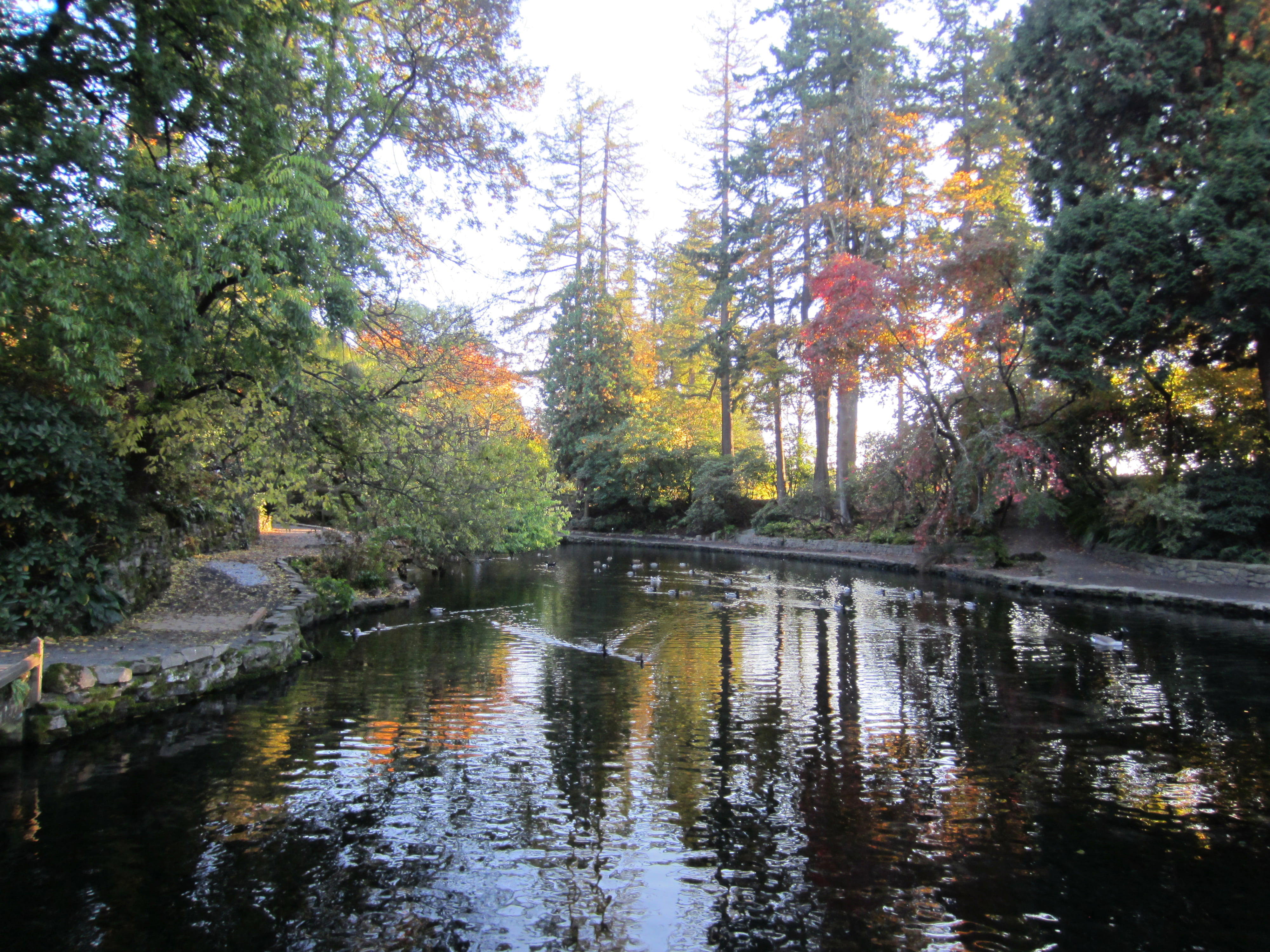 Záhrada rododendronov Crystal Springs