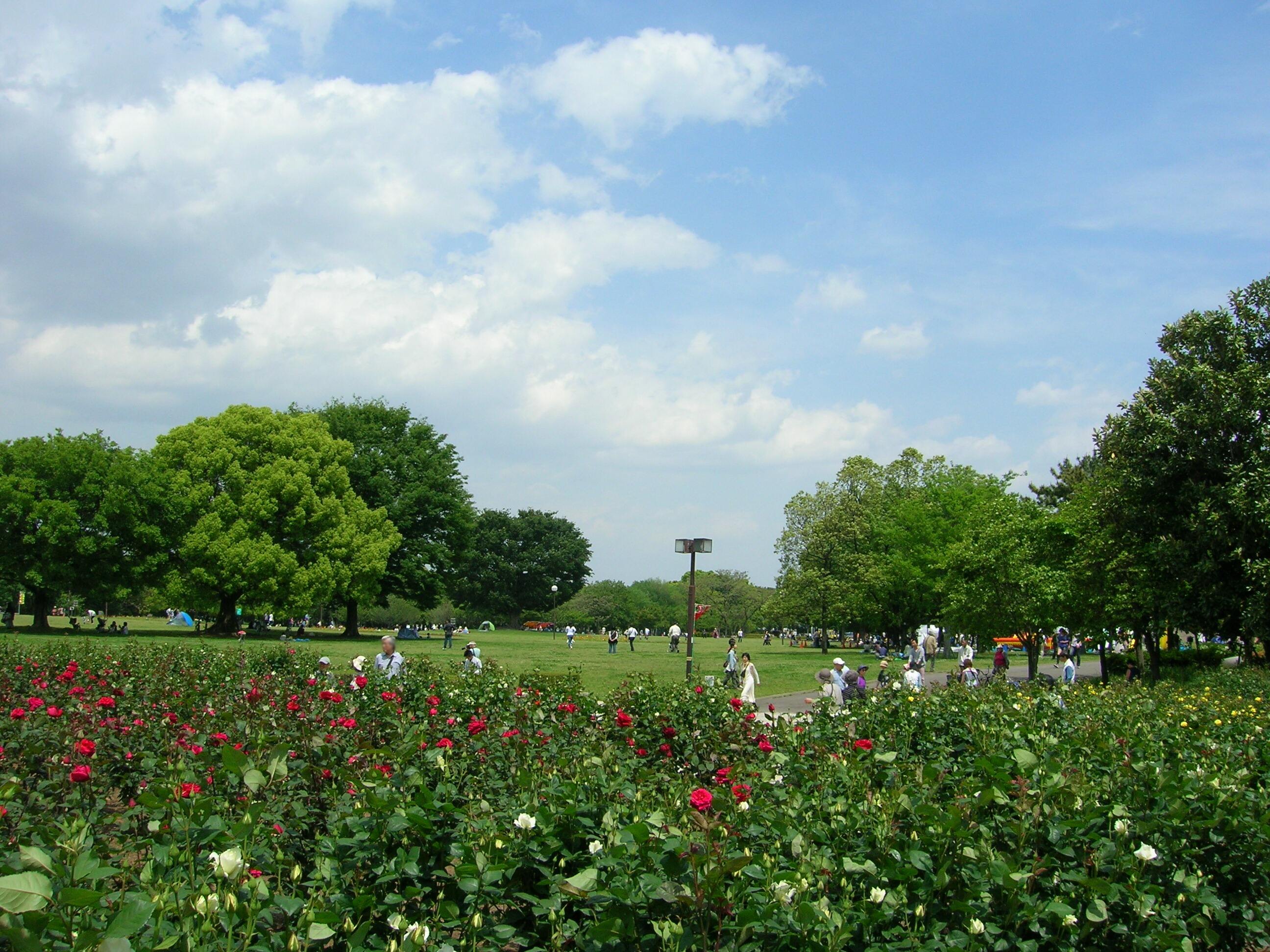 Shonai ryokuchi (Shonai green).