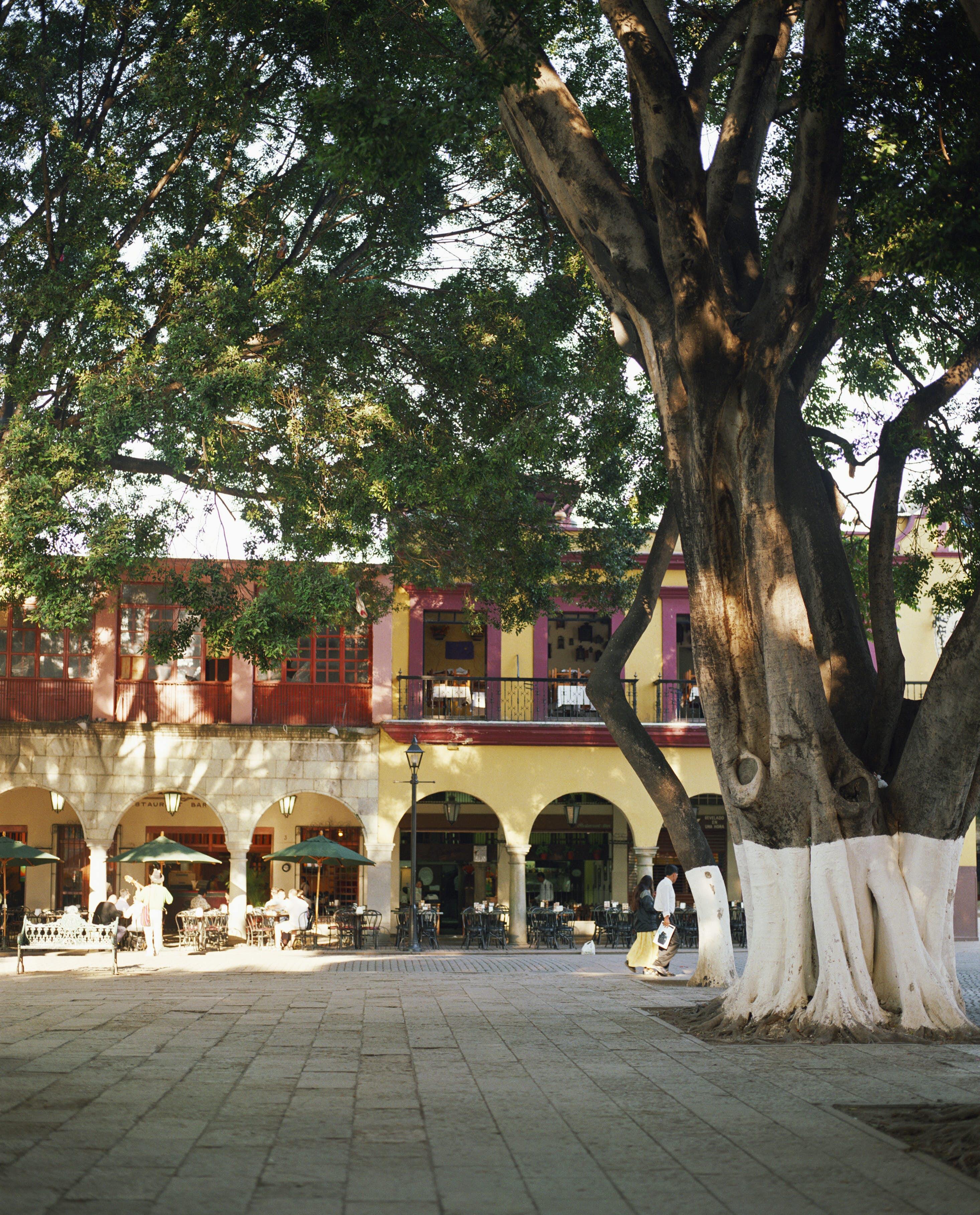 Colonial architecture , Mexico