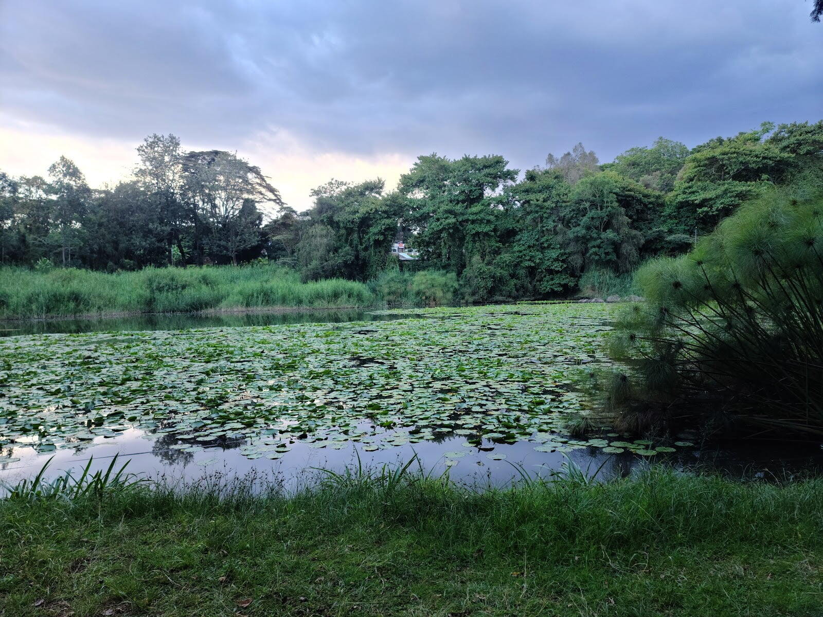 Ngong Road Forest Sanctuary