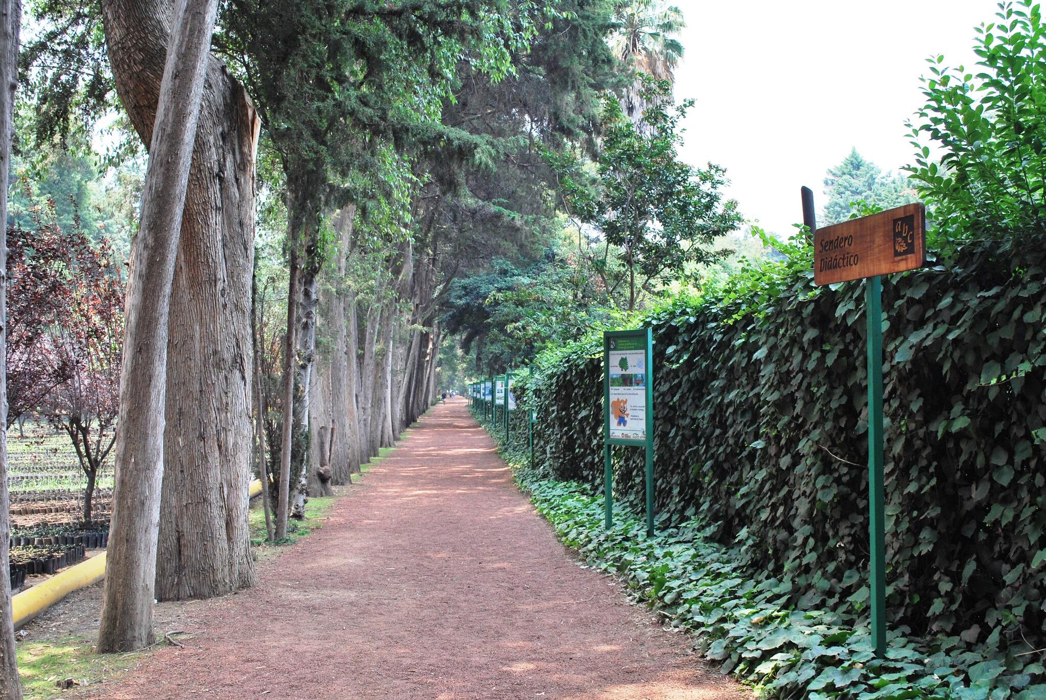 Start of the "Sendero Didáctico" or Teaching Path which has a number of signs demonstrating reforestation work. In the Viveros de Coyoacan in Coyoacan borough in Mexico City