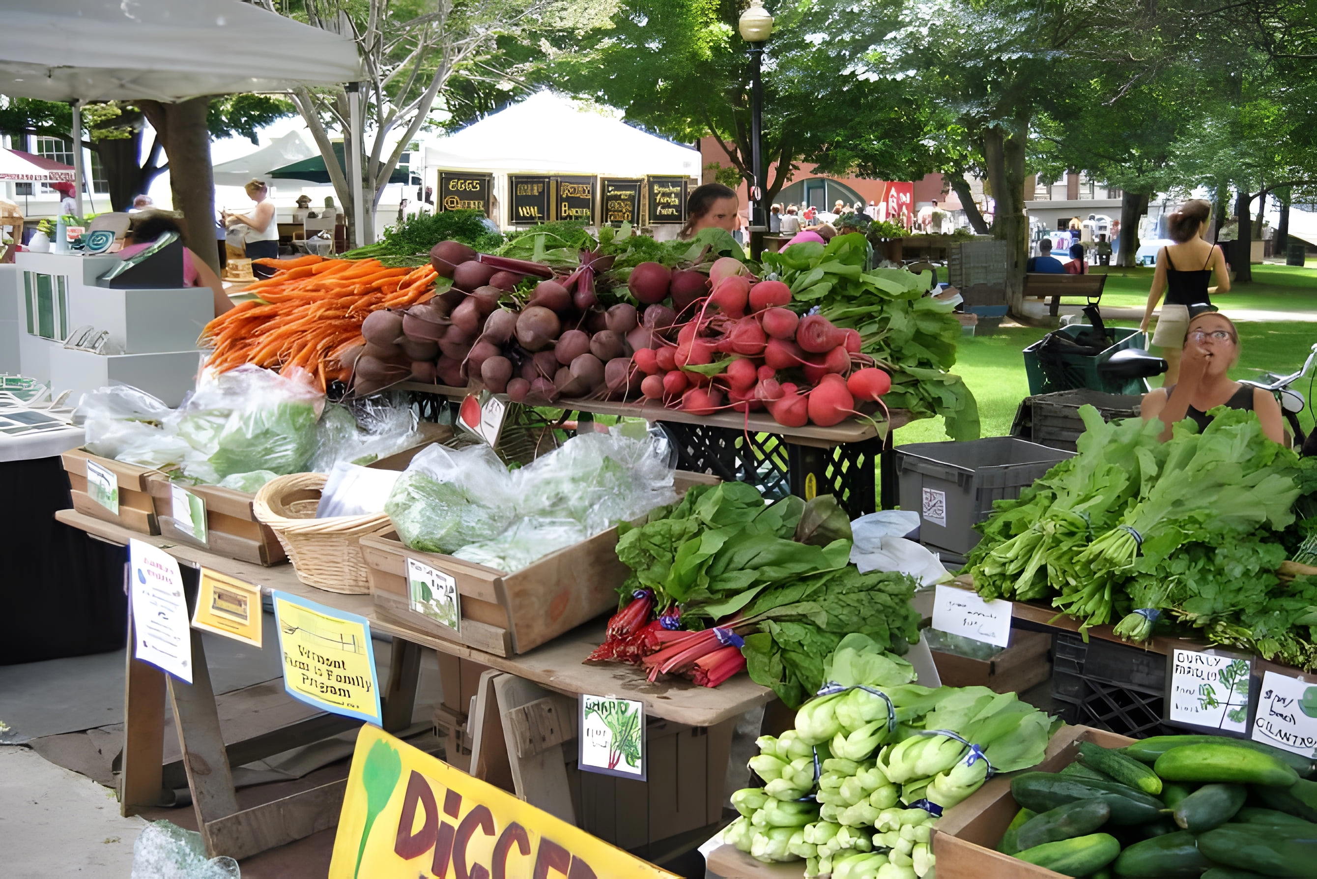 Burlington Farmers Market