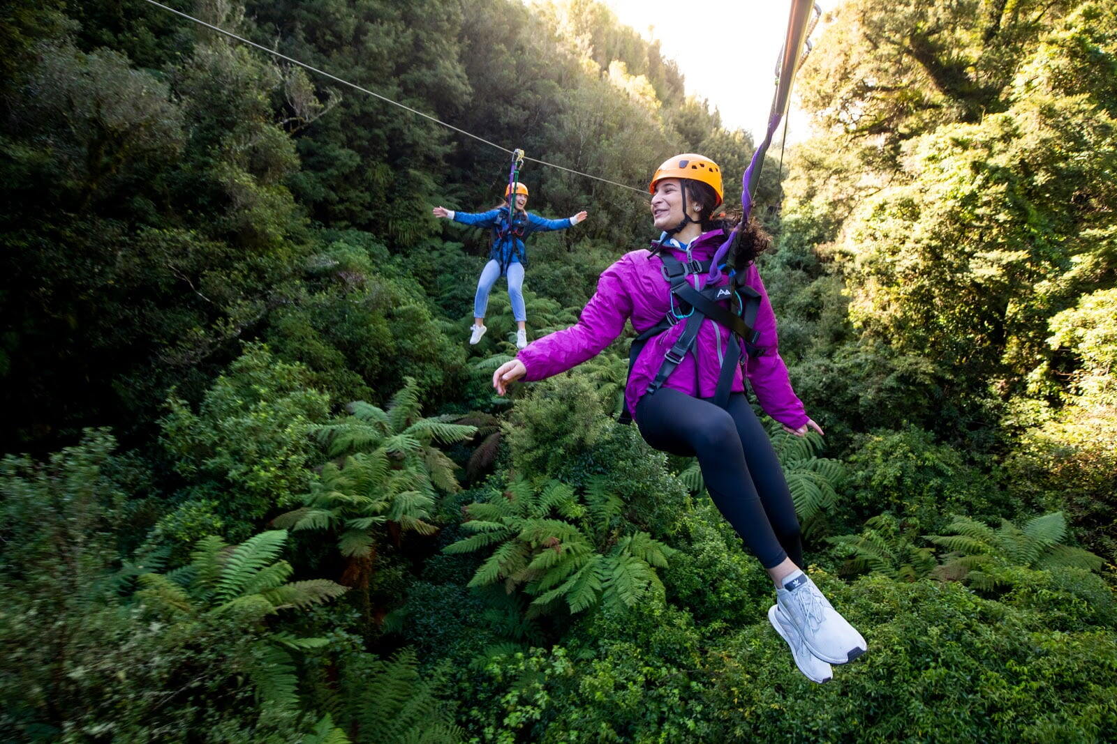 Rotorua Canopy Tours