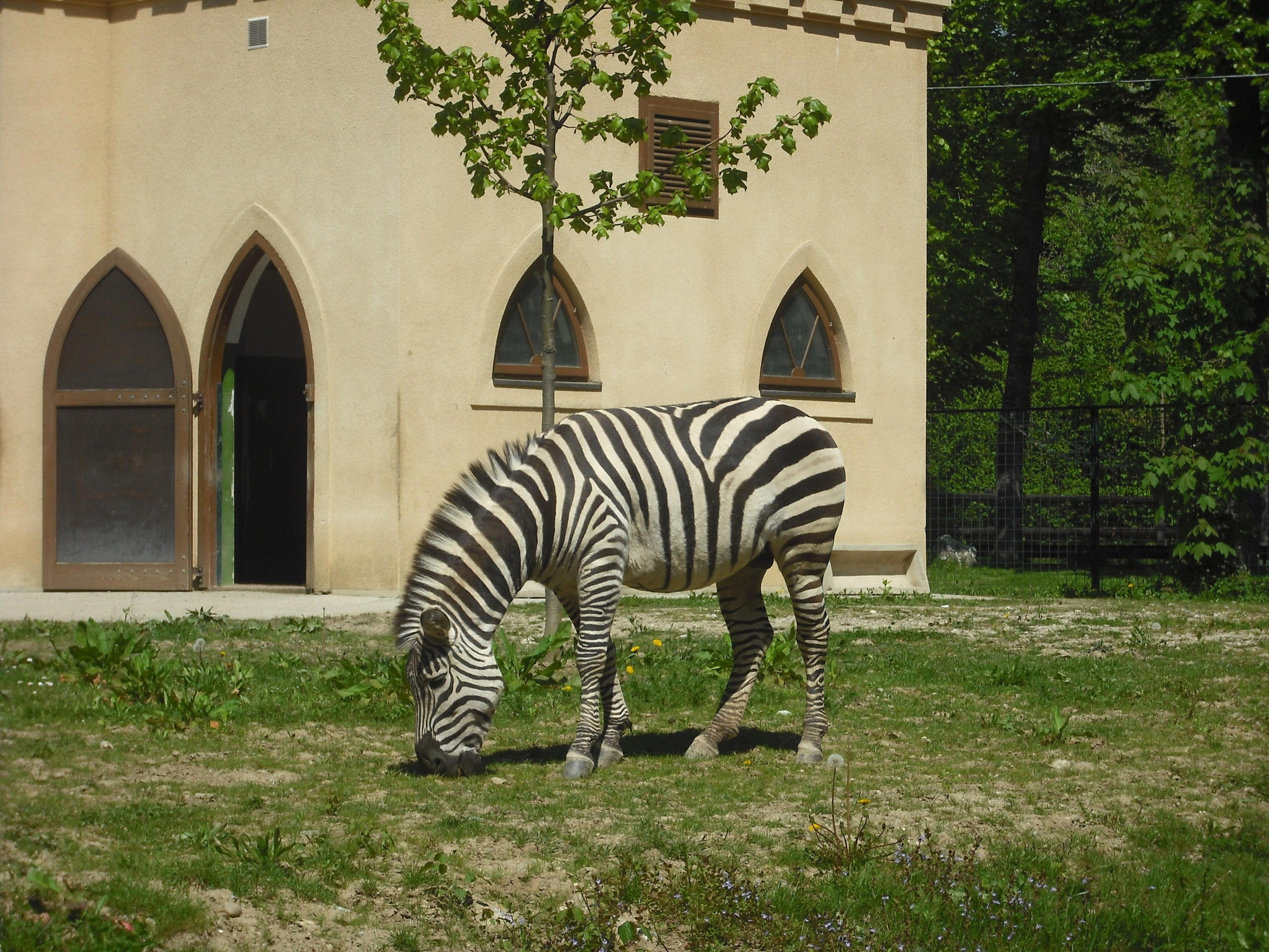 Zoologická záhrada Zagreb