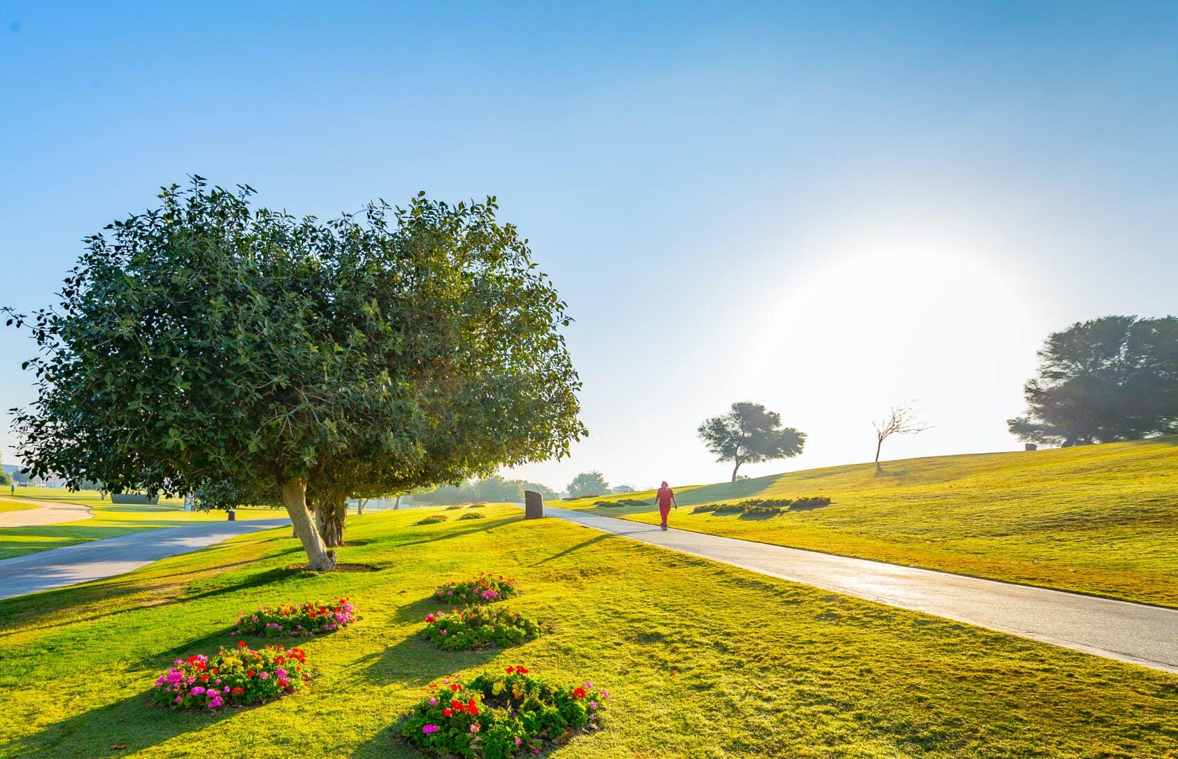 Aspire Park in Doha city, the capital of Qatar; Shutterstock ID 372541651; Your name (First / Last): Lauren Keith; GL account no.: 65050; Netsuite department name: Online Editorial; Full Product or Project name including edition: Destination page image update