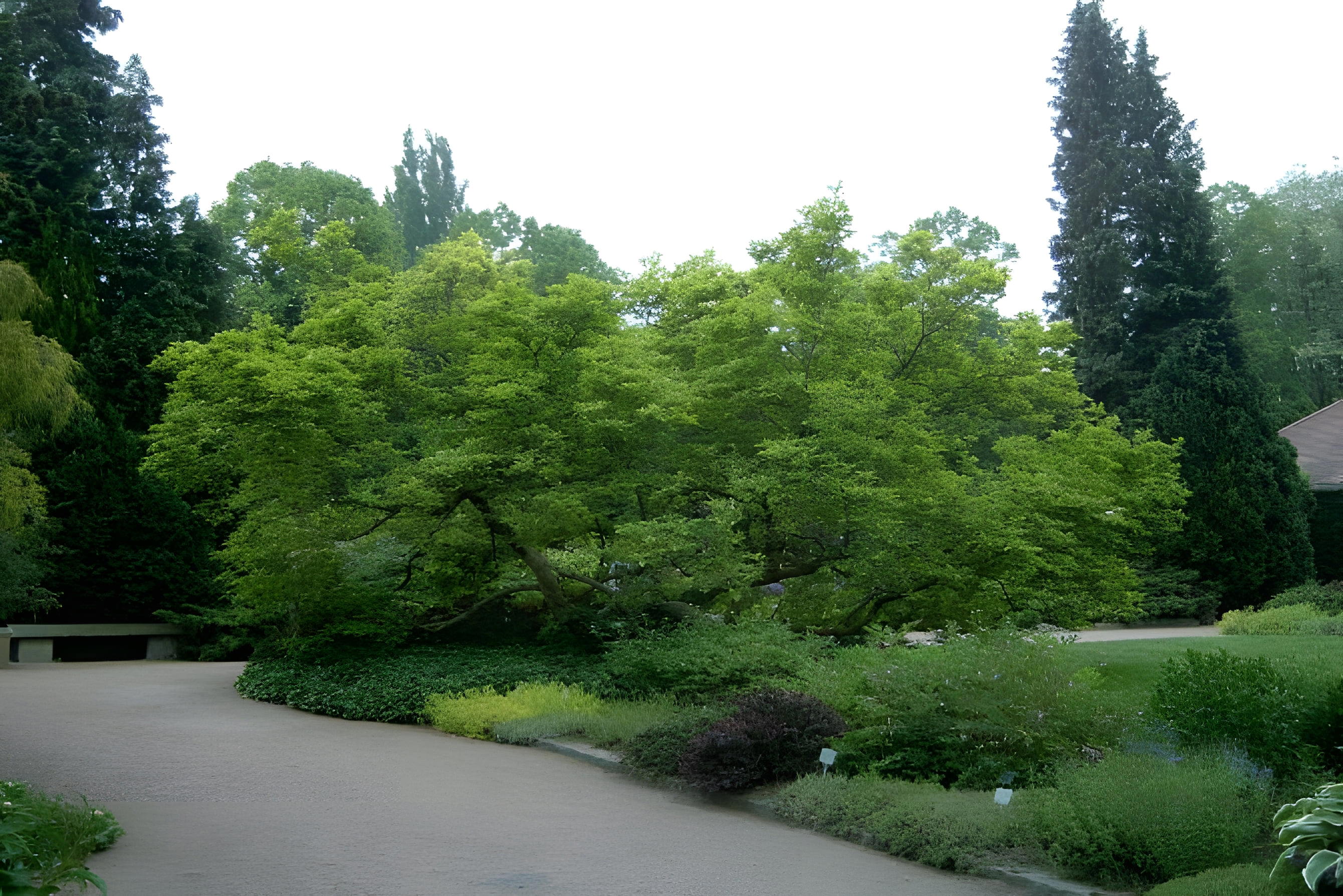 Linz Botanical Garden