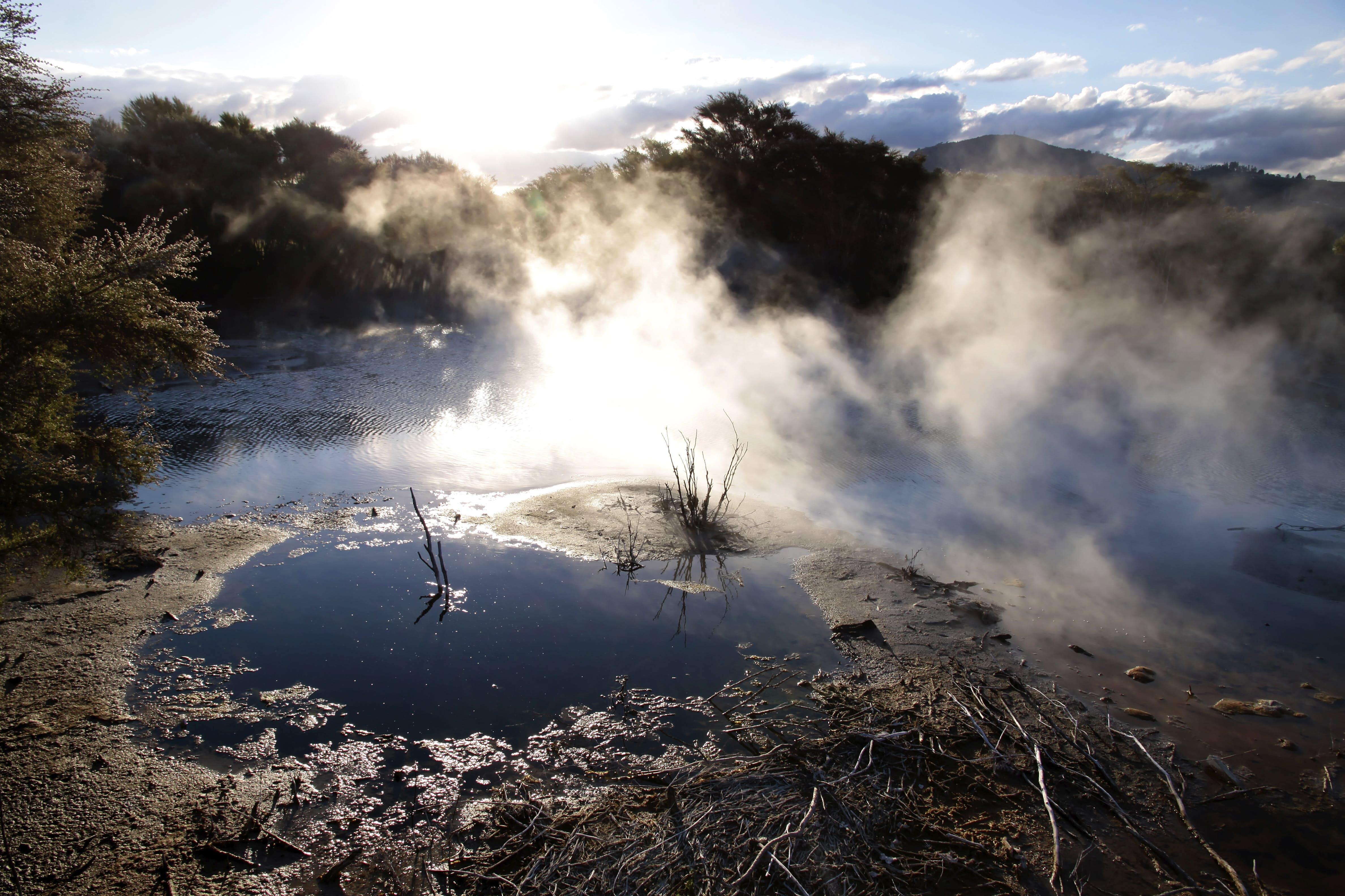 Hot spring in Kuirau Park