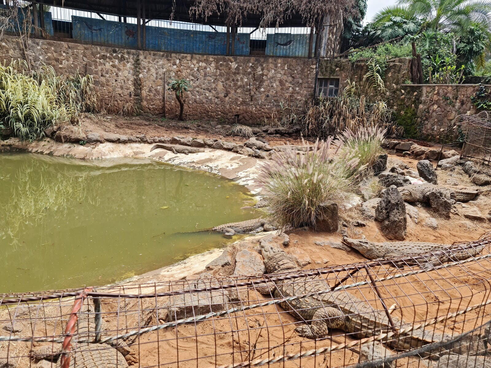 Nairobi Mamba Village