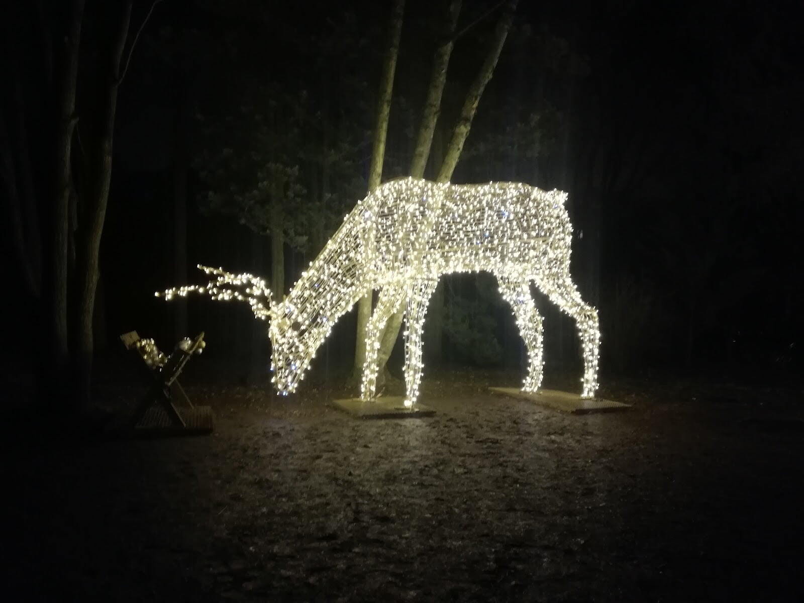 Park Iluminacji - Lublin