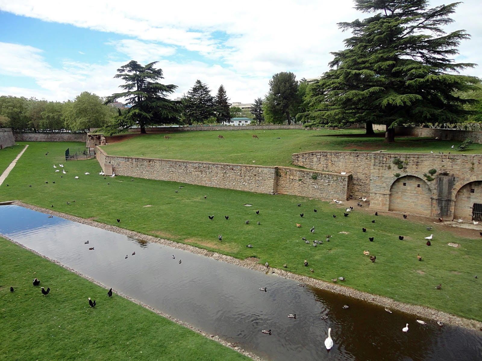 Parque de La Taconera